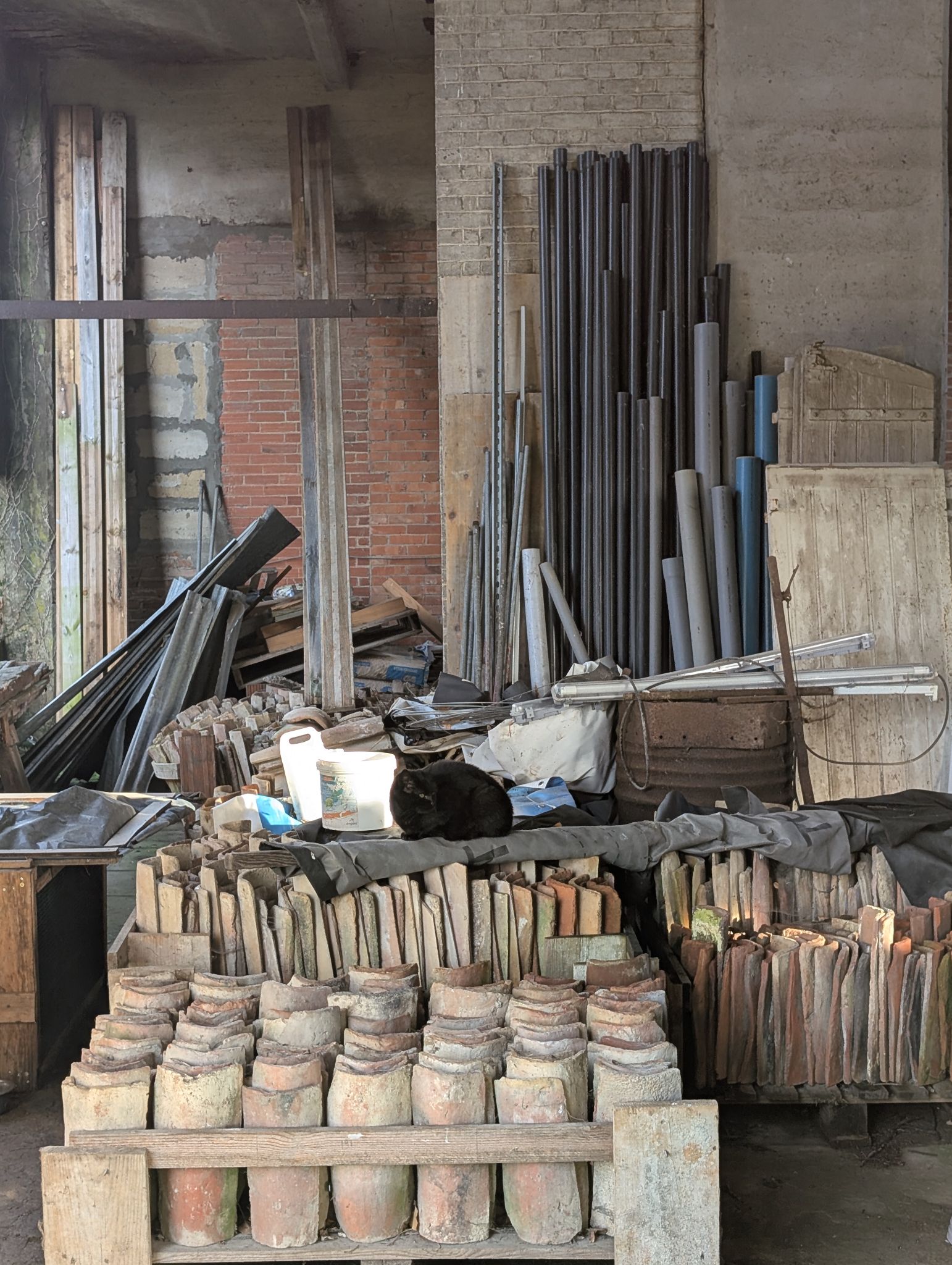 PXL 20251212 143505728