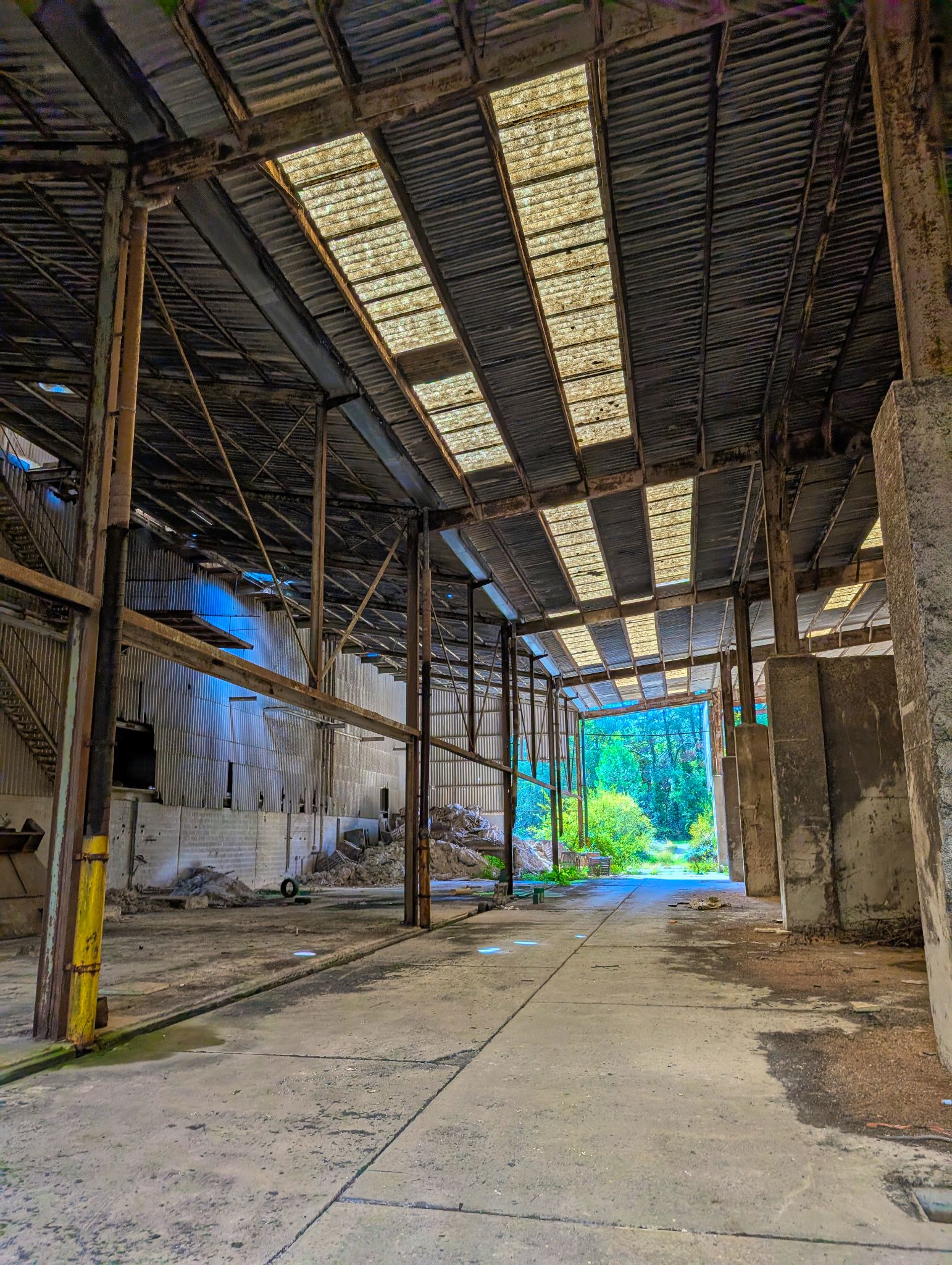 PXL 20251005 112349513