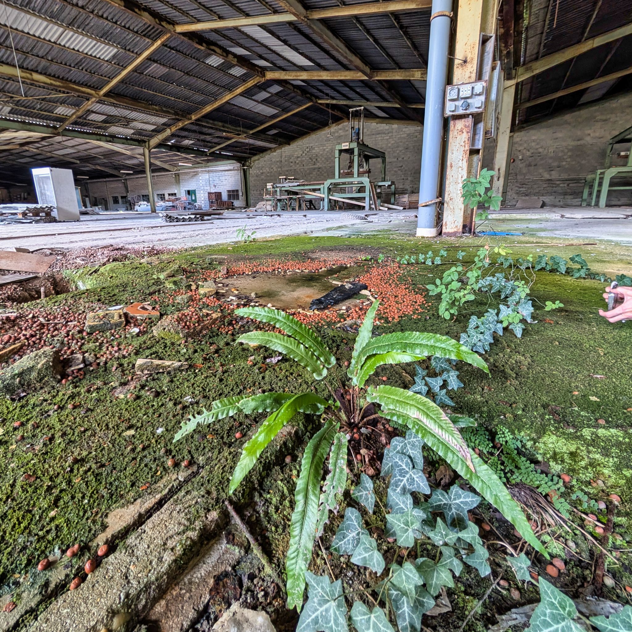 PXL 20251005 113420040