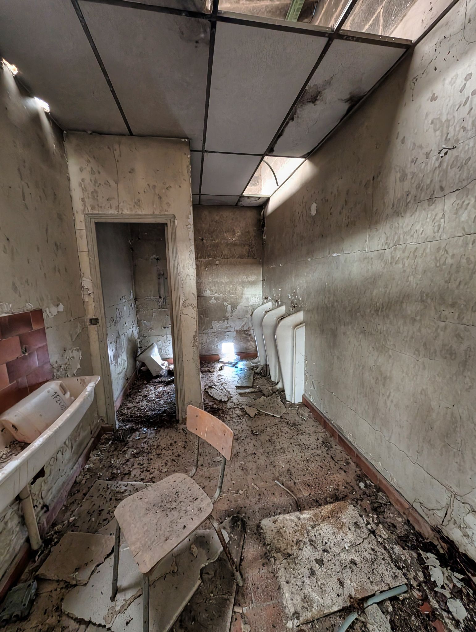 PXL 20251005 113823172