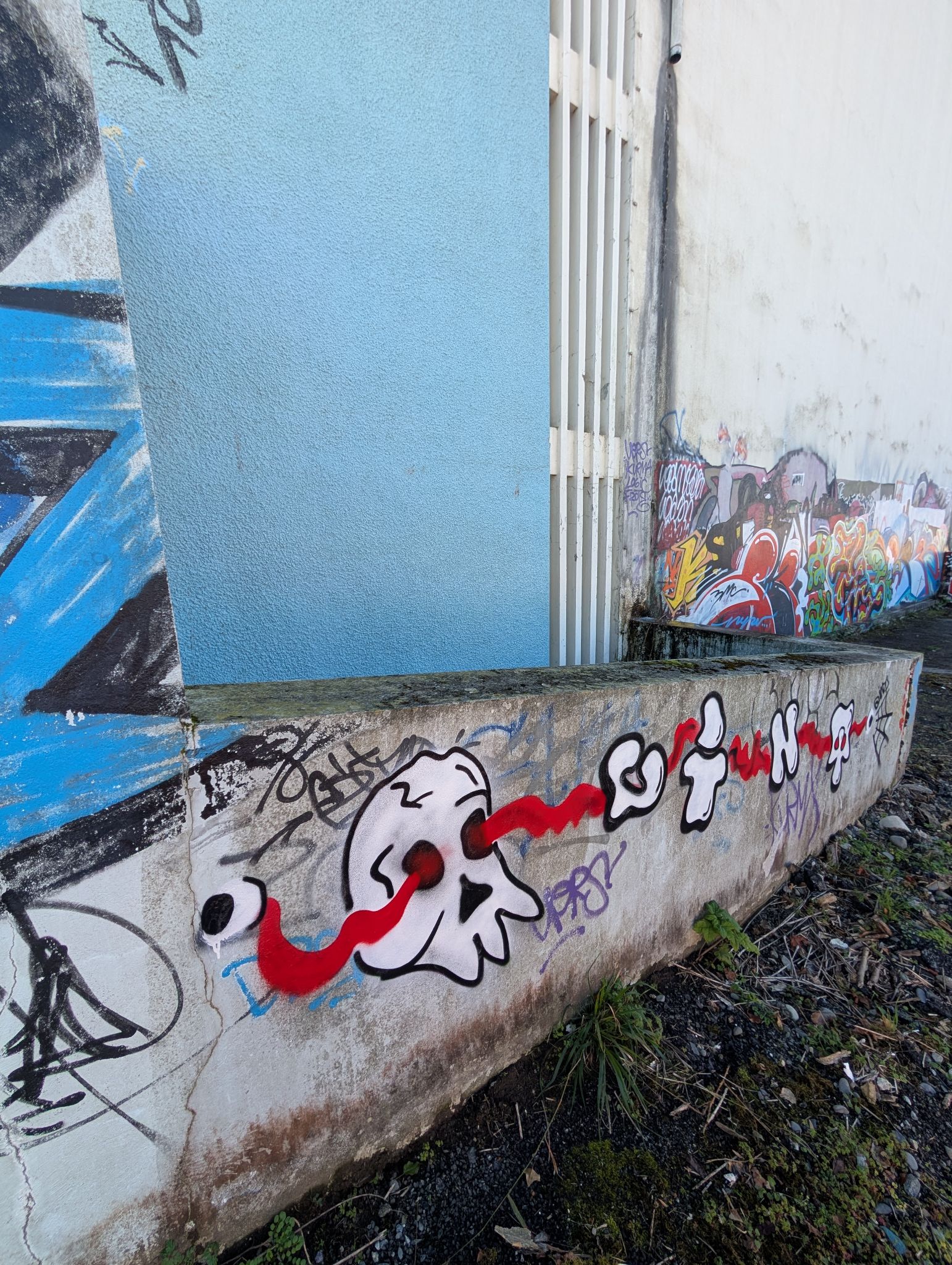 PXL 20251122 124159187.MP