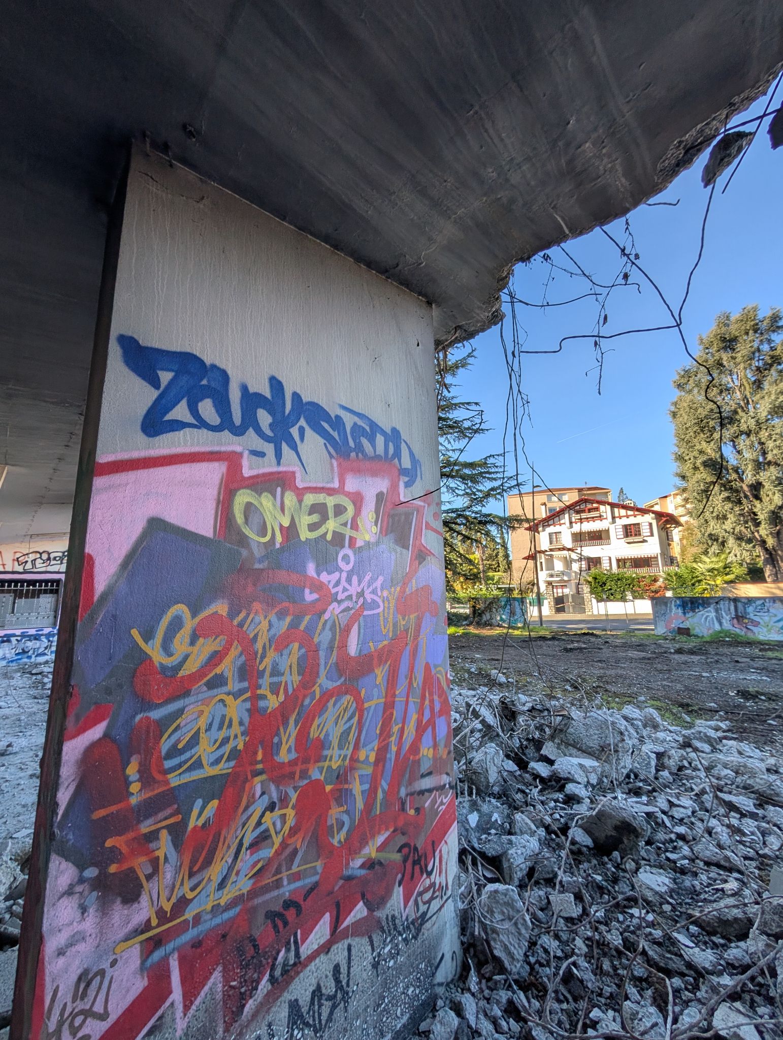 PXL 20251122 124441592