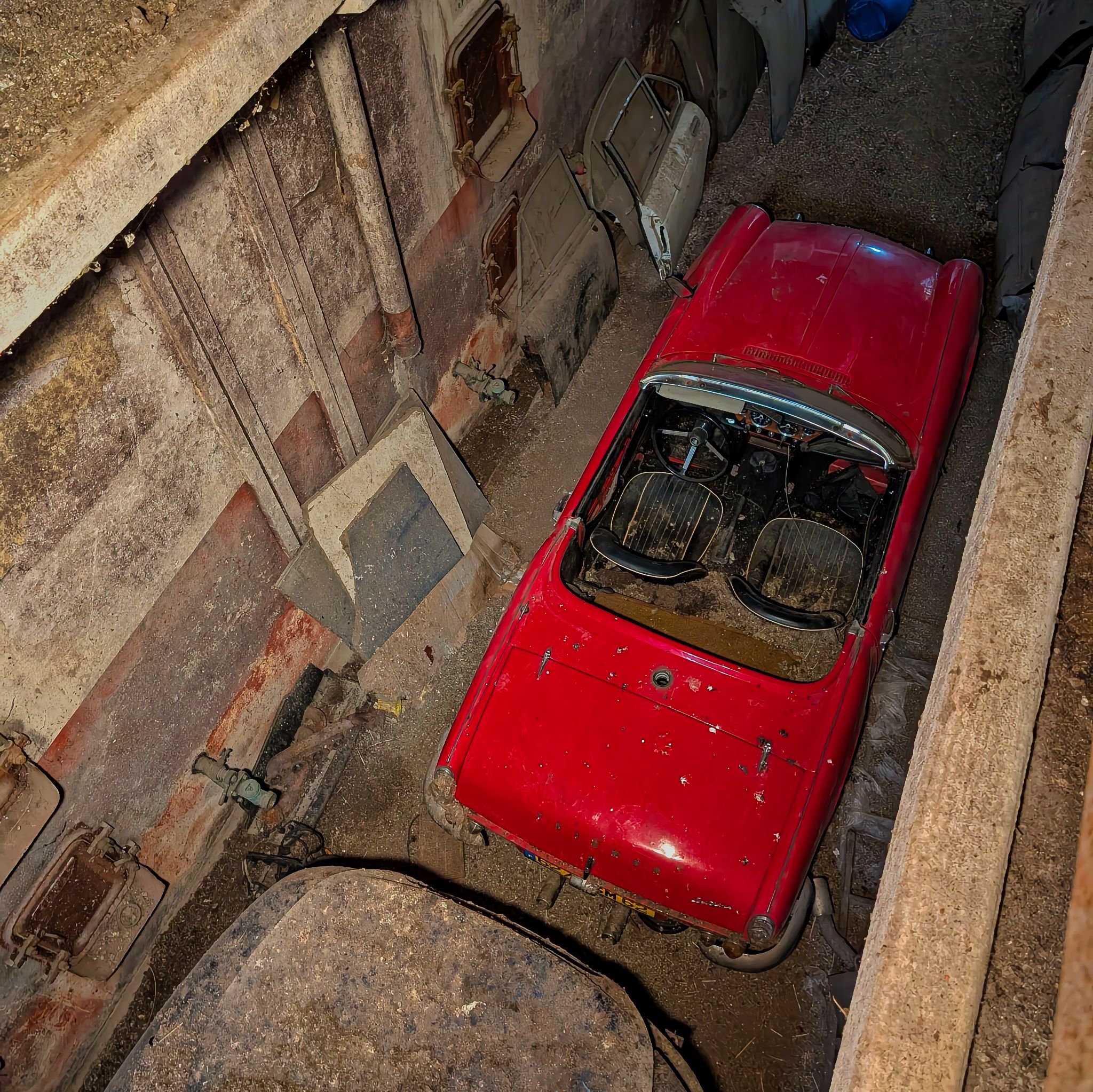 PXL 20250727 074908921