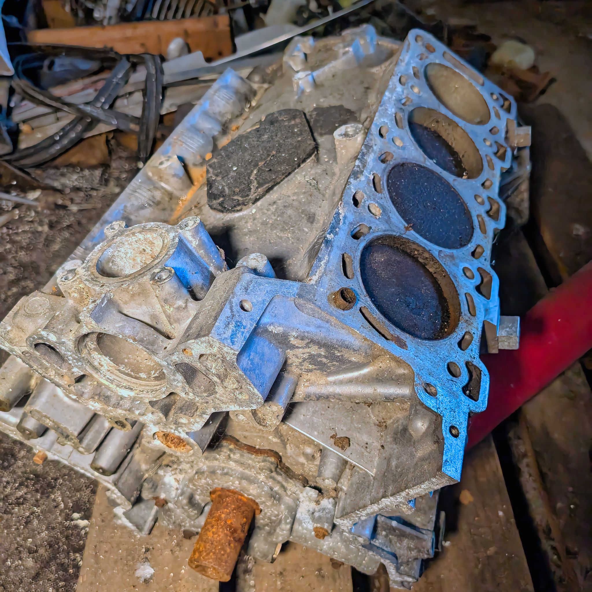 PXL 20250727 075208839