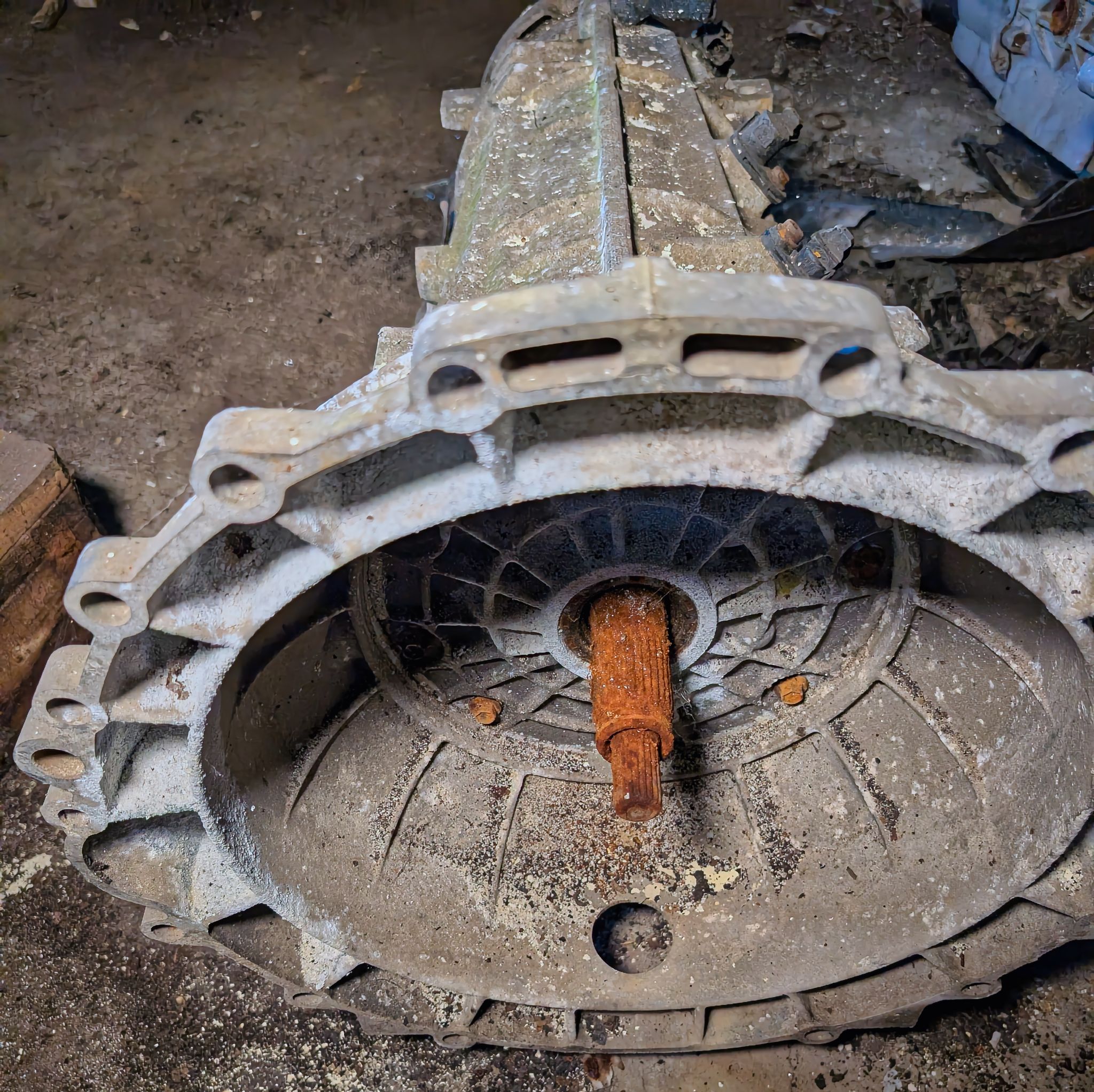 PXL 20250727 075217309