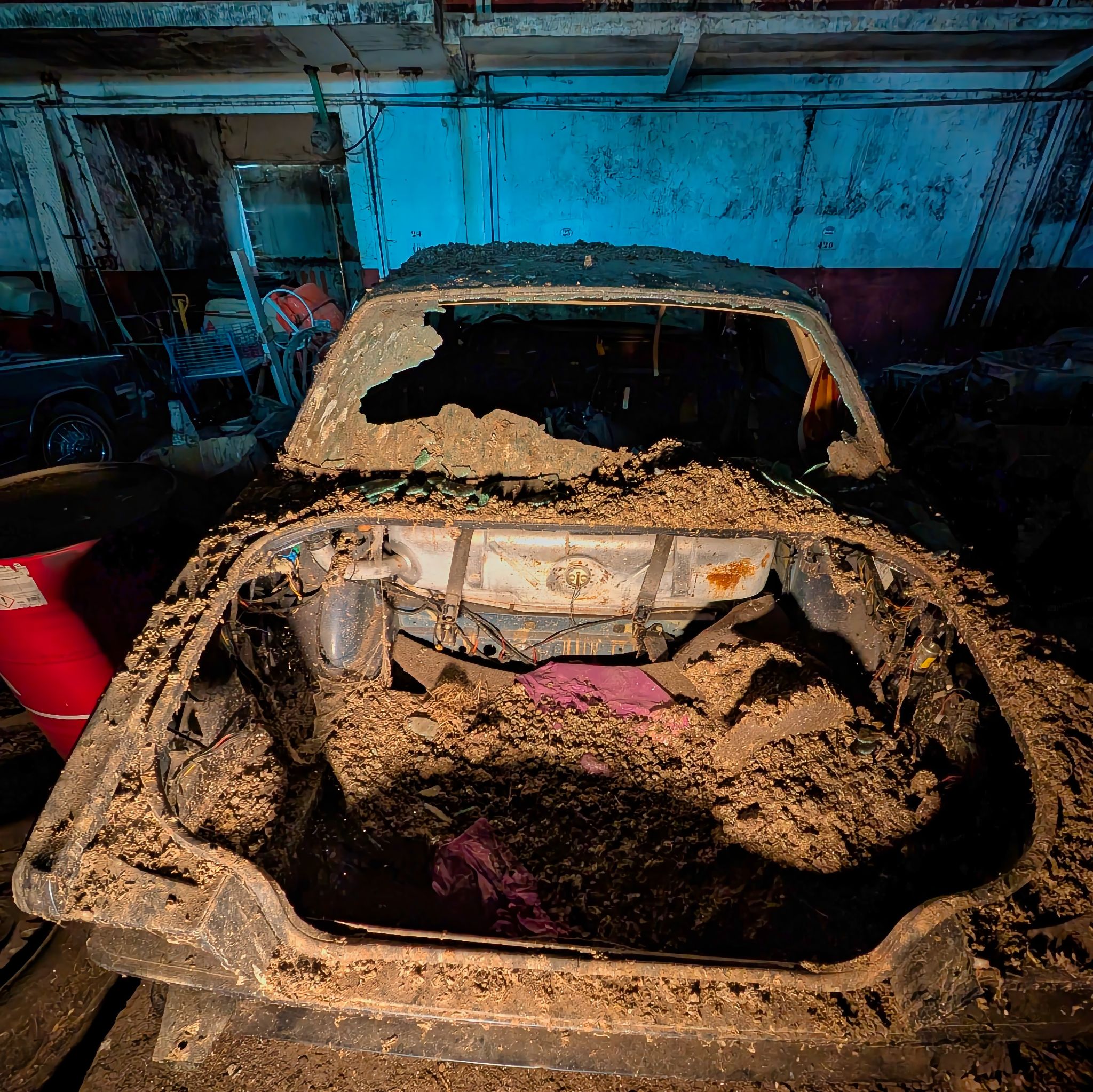 PXL 20250727 080023133