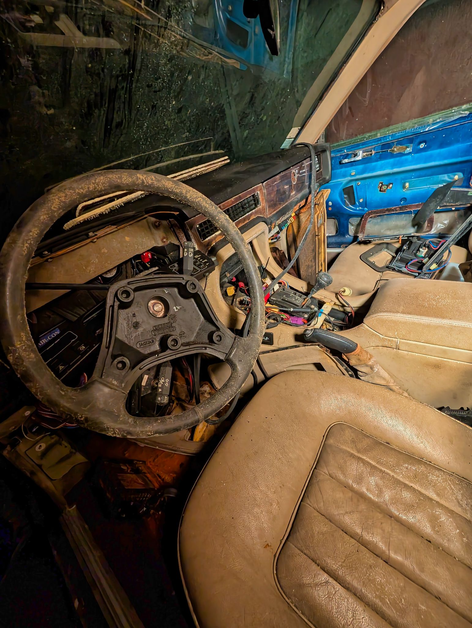 PXL 20250727 082316225