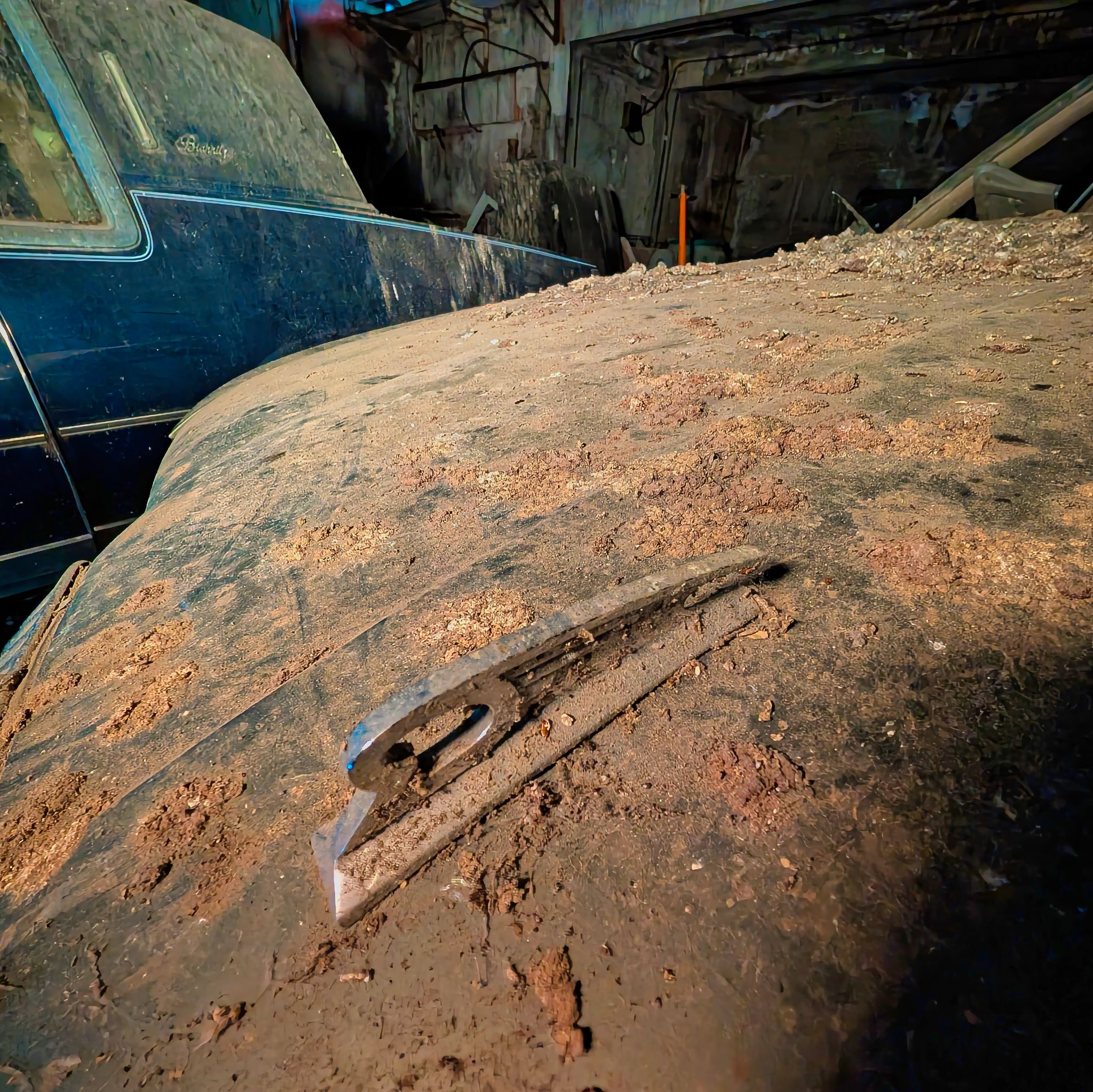 PXL 20250727 083421465