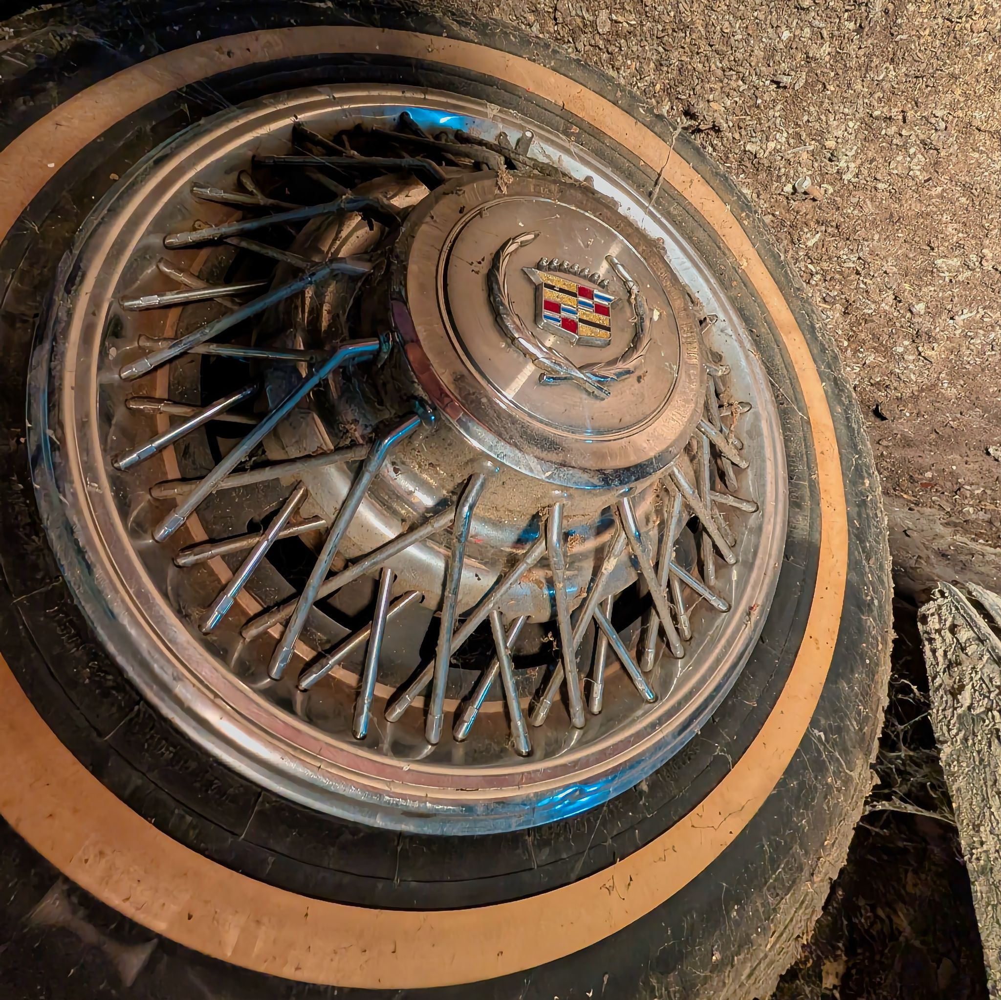 PXL 20250727 083703894