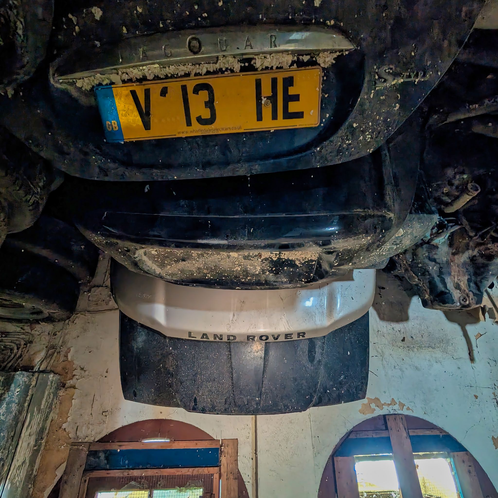 PXL 20250727 085350290