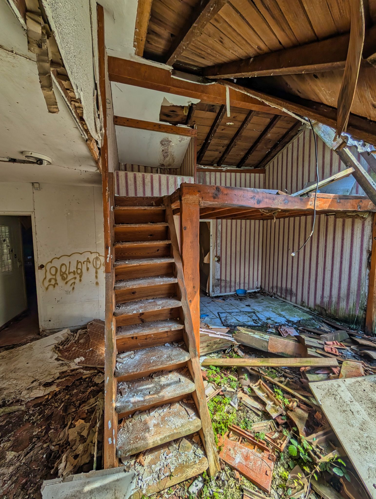 PXL 20250319 122538655.MP