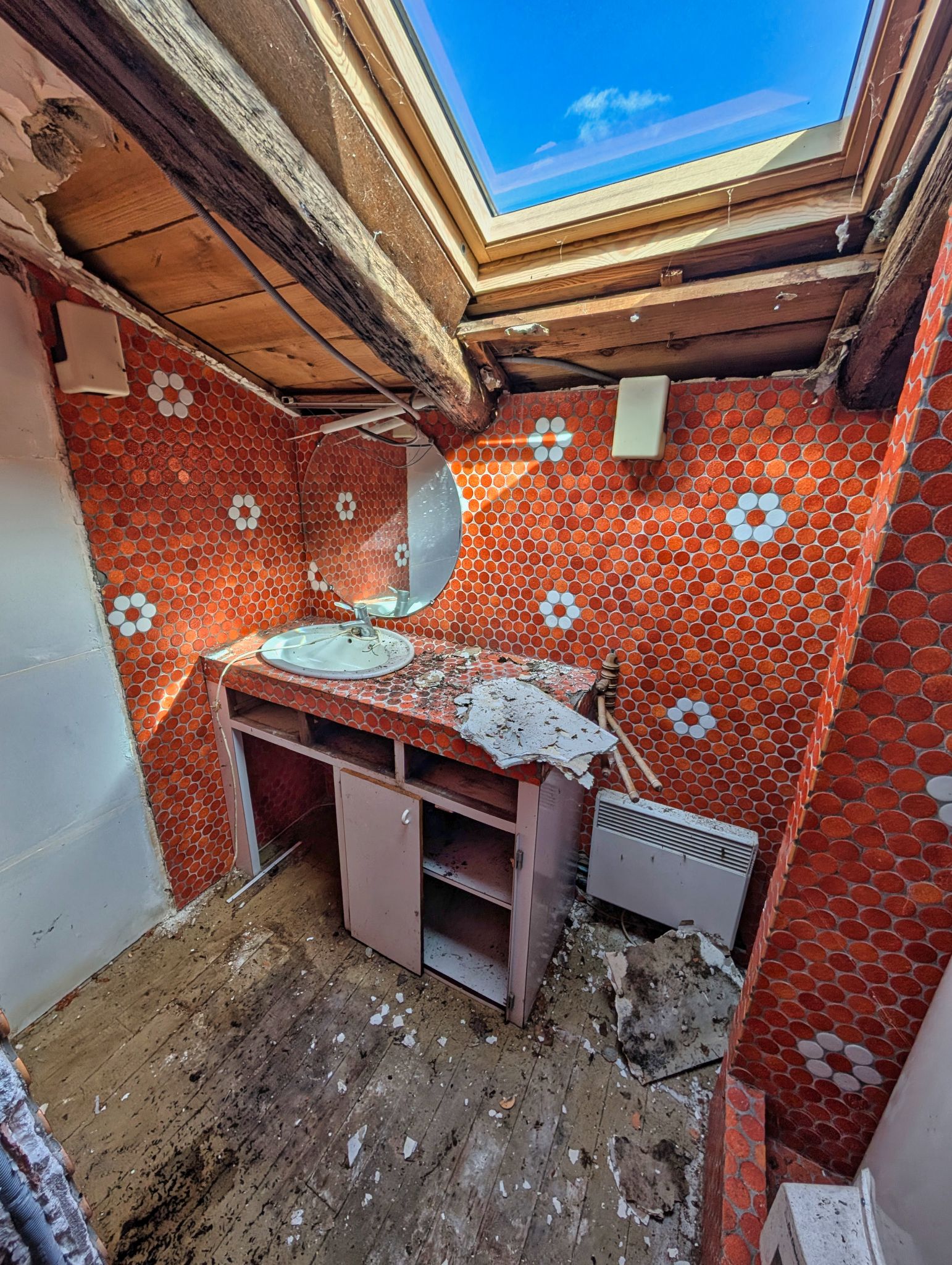 PXL 20250319 100453917