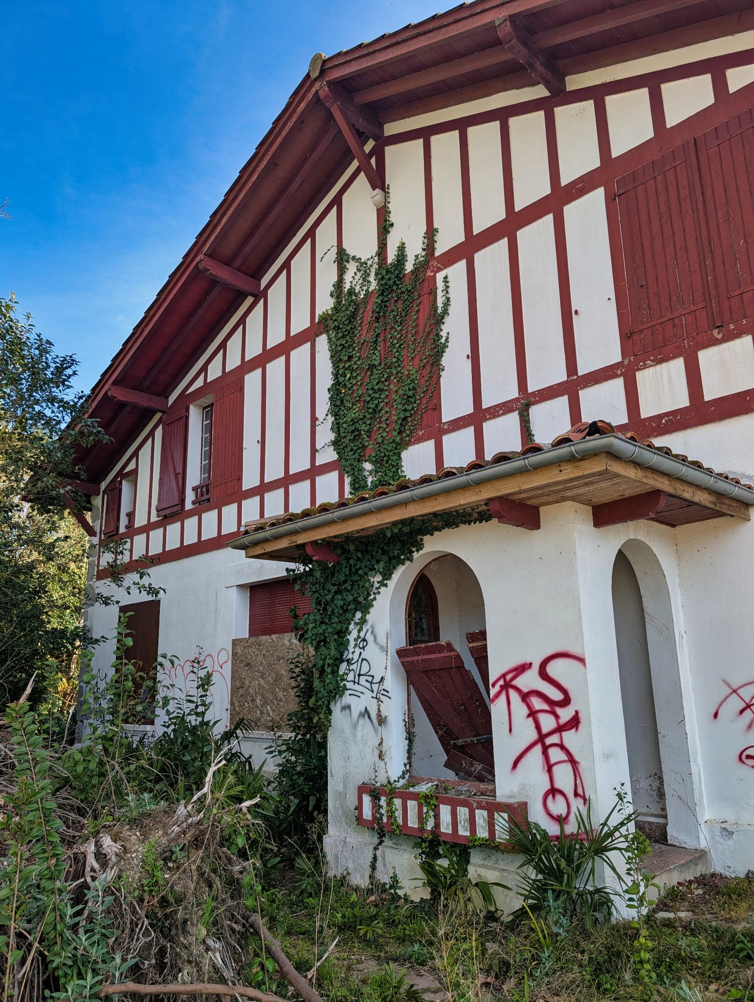 PXL 20250319 101423699