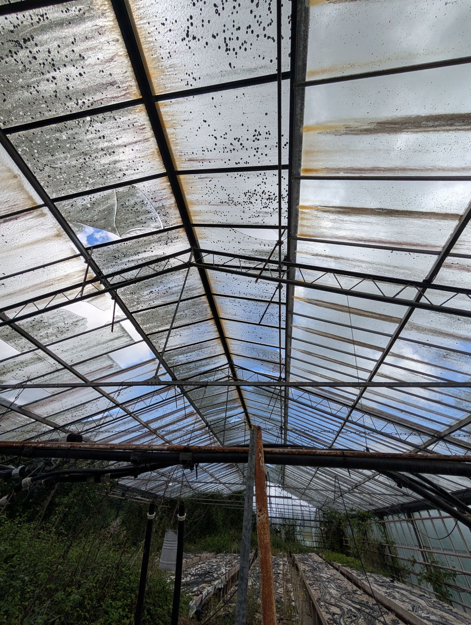 PXL 20250417 125751253