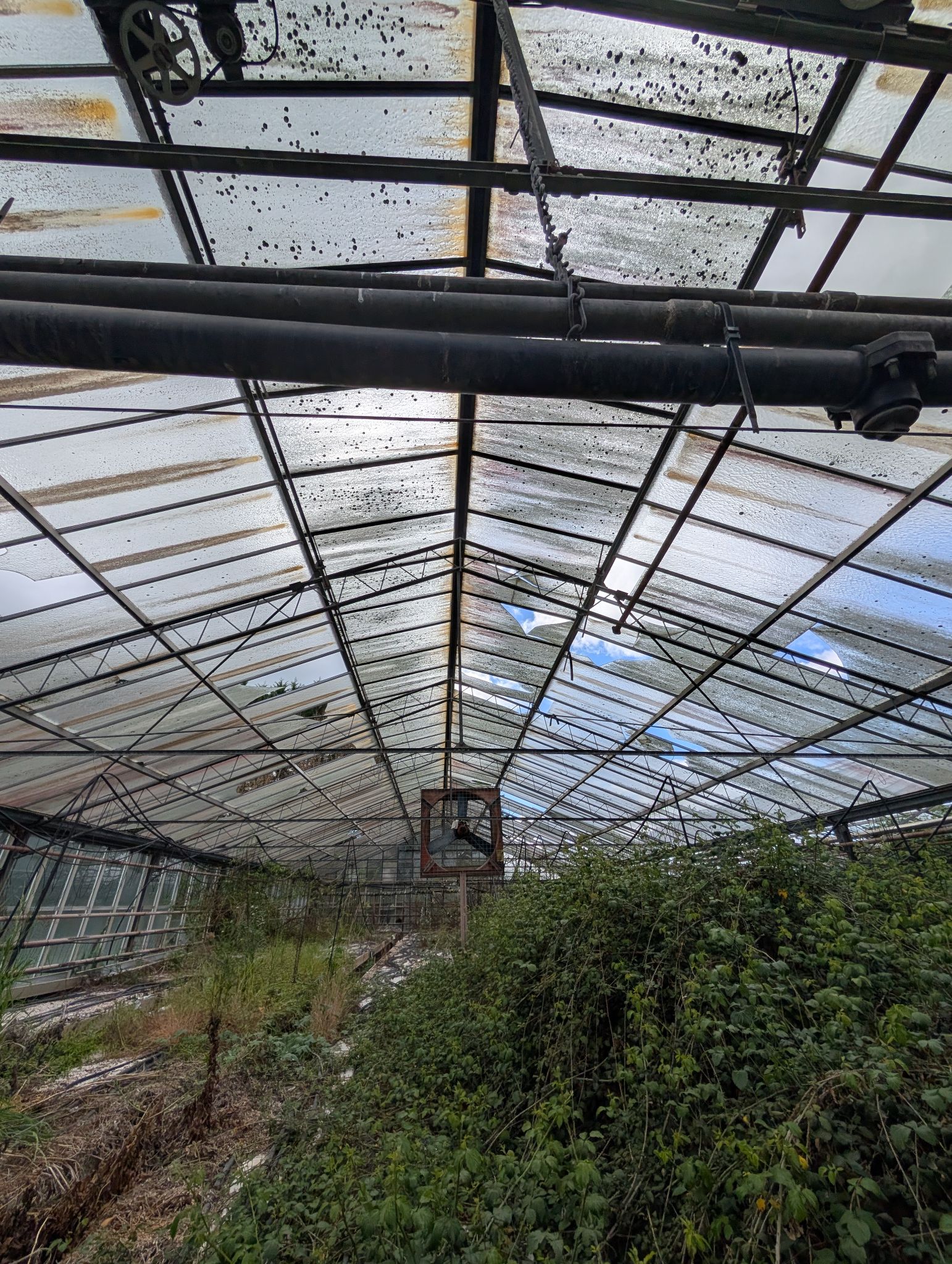 PXL 20250417 125800134