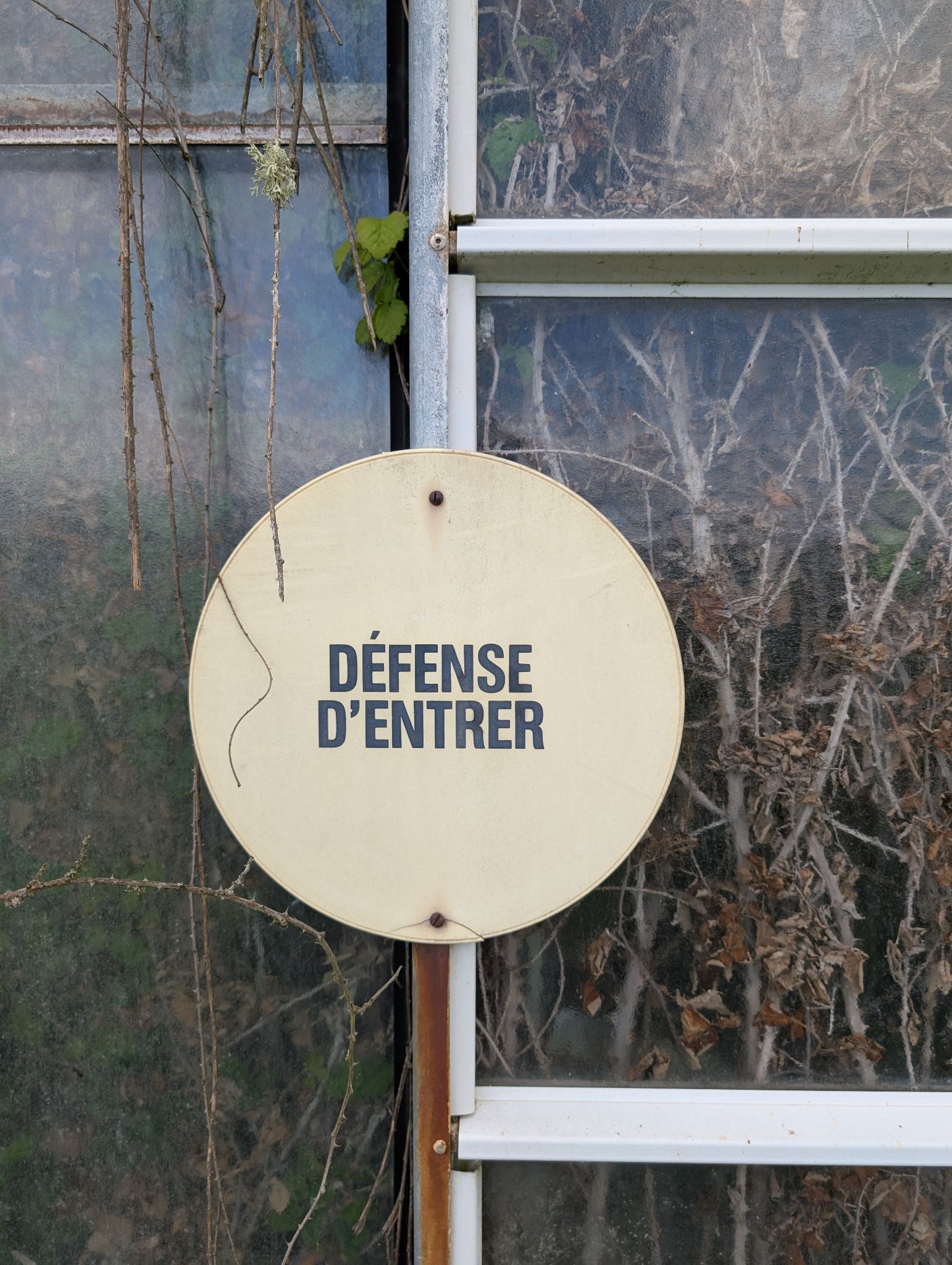 PXL 20250417 130054382