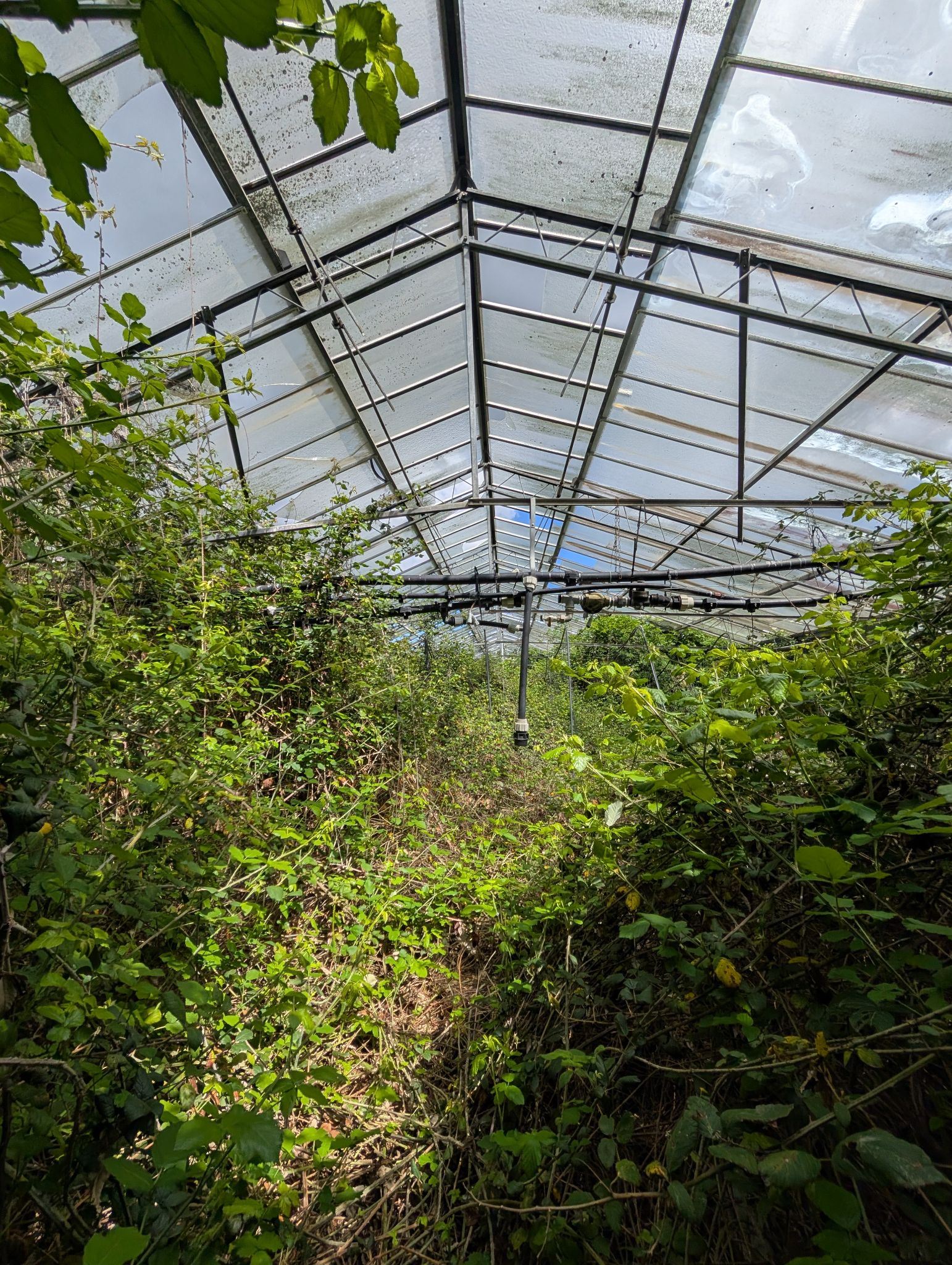 PXL 20250417 130335900