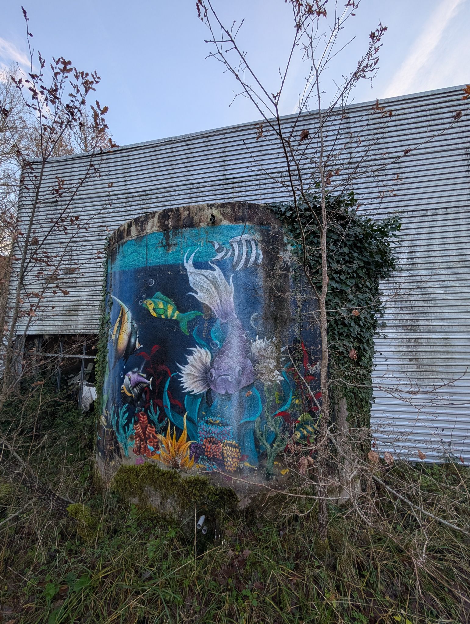 PXL 20251212 151201925.MP