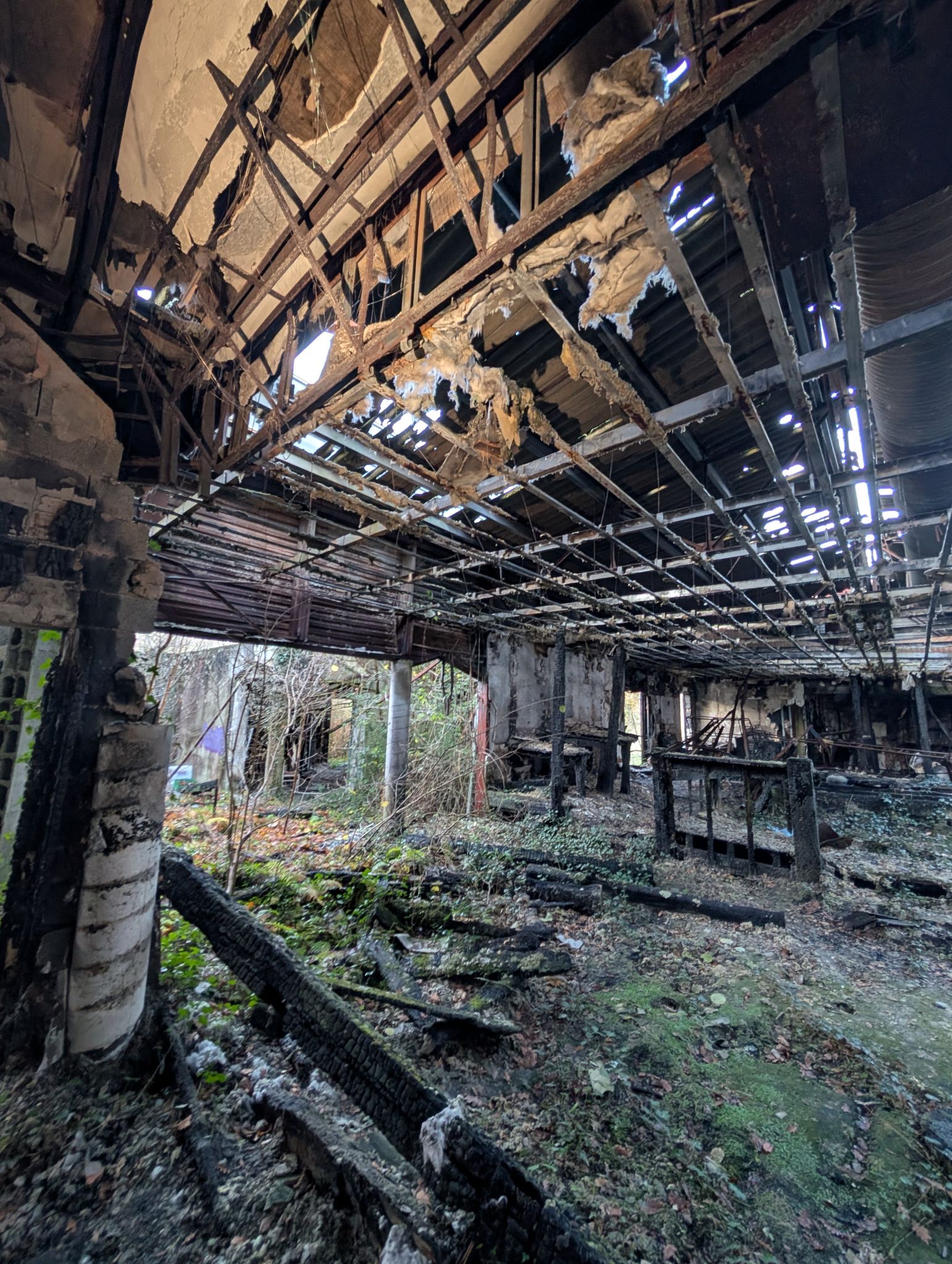 PXL 20251212 151341706