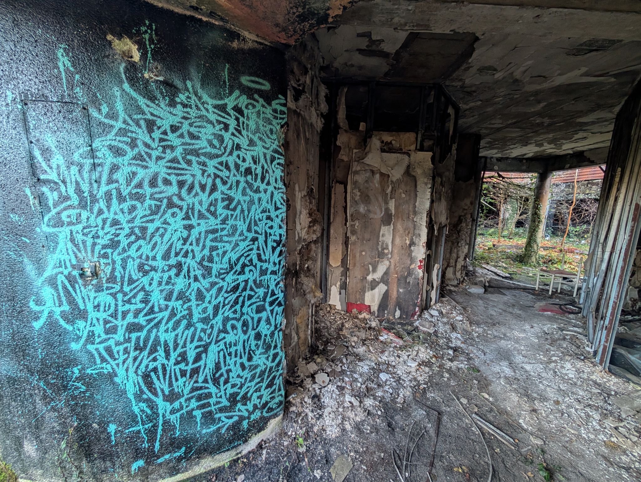 PXL 20251212 151733073