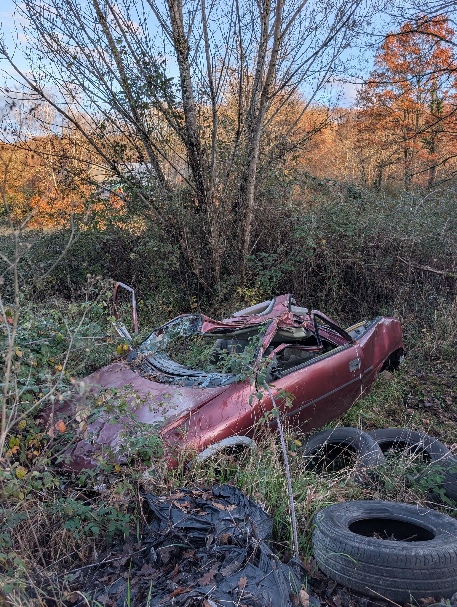 PXL 20251212 152541706