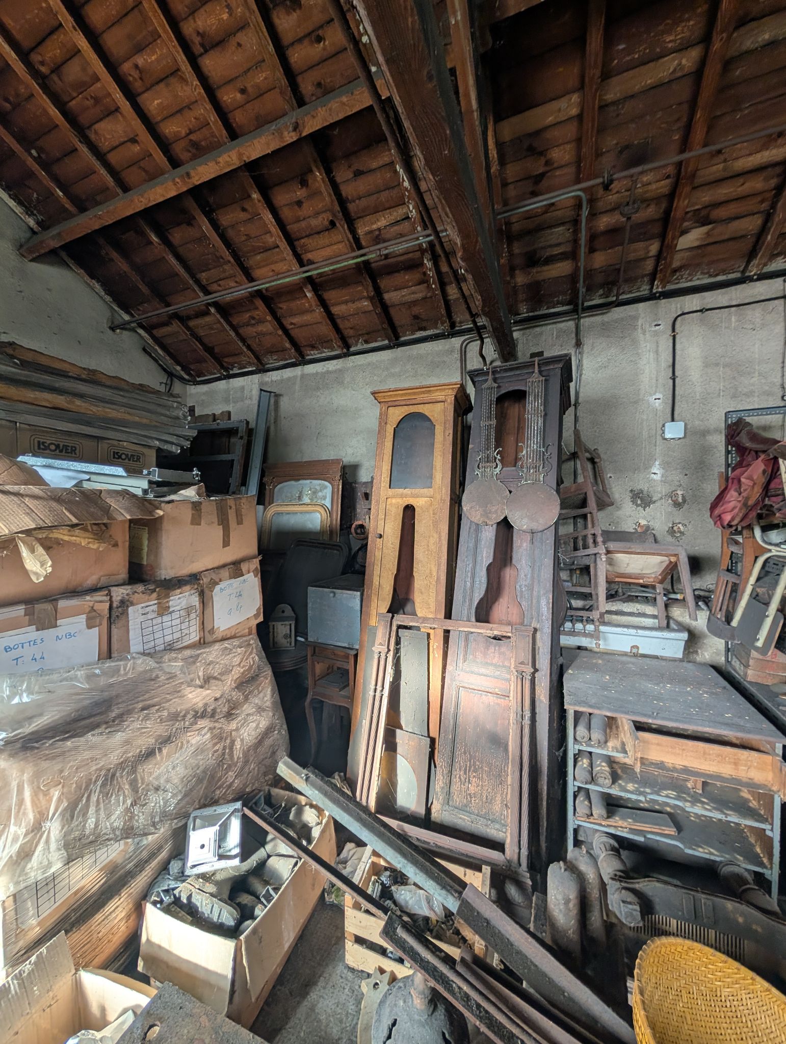 PXL 20251212 130458280