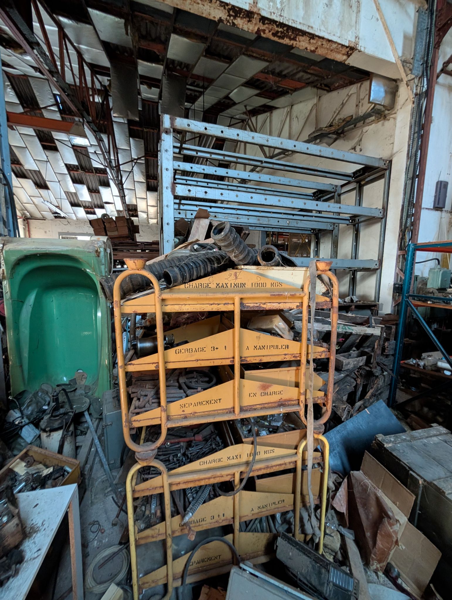 PXL 20251212 130924656