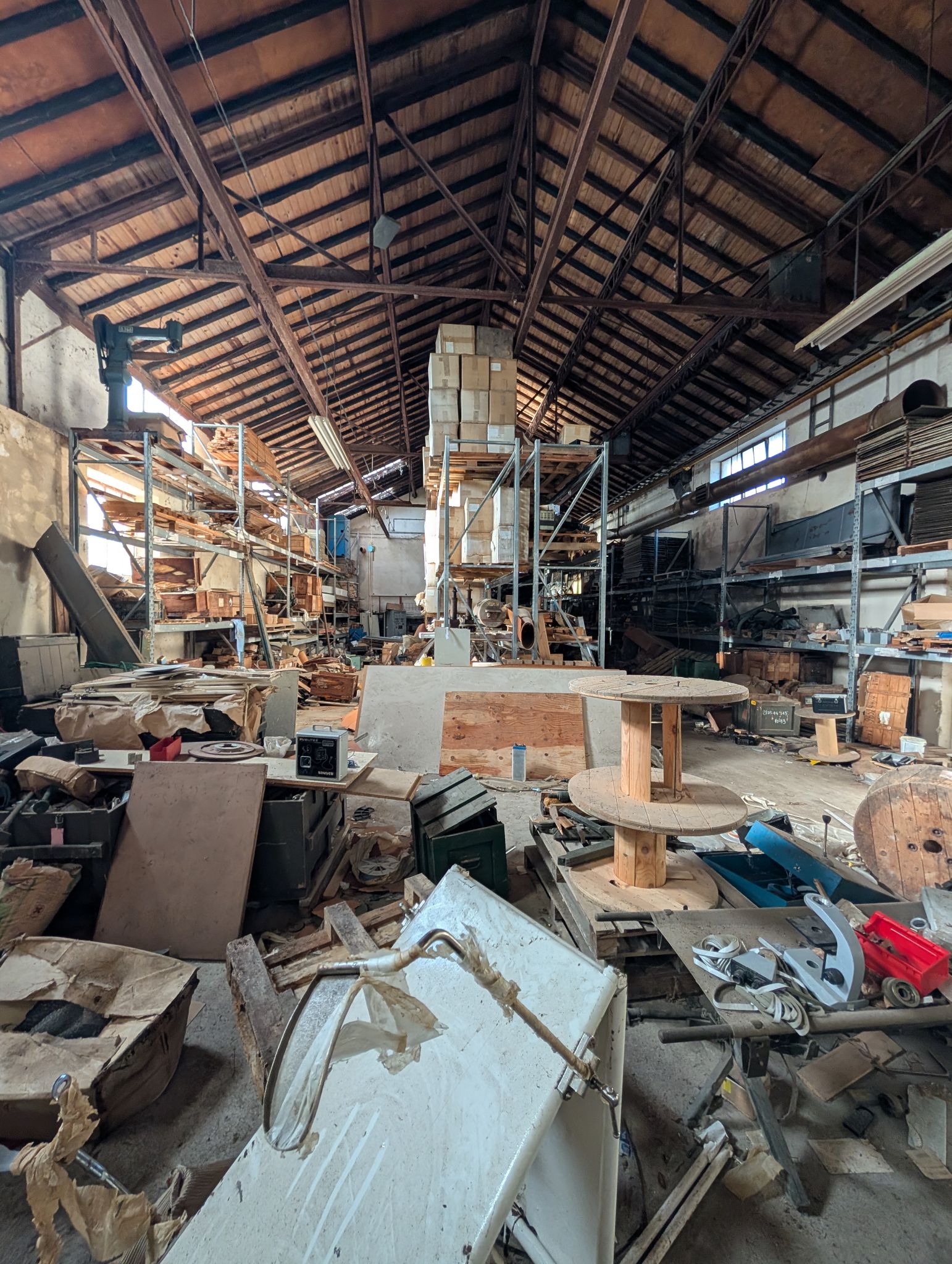 PXL 20251212 131055958