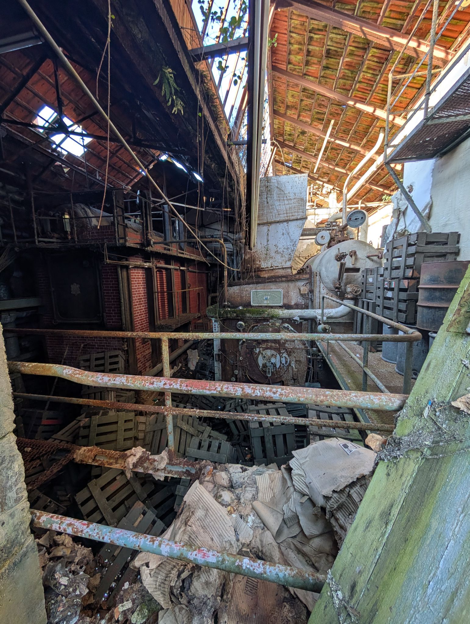 PXL 20251228 100512081