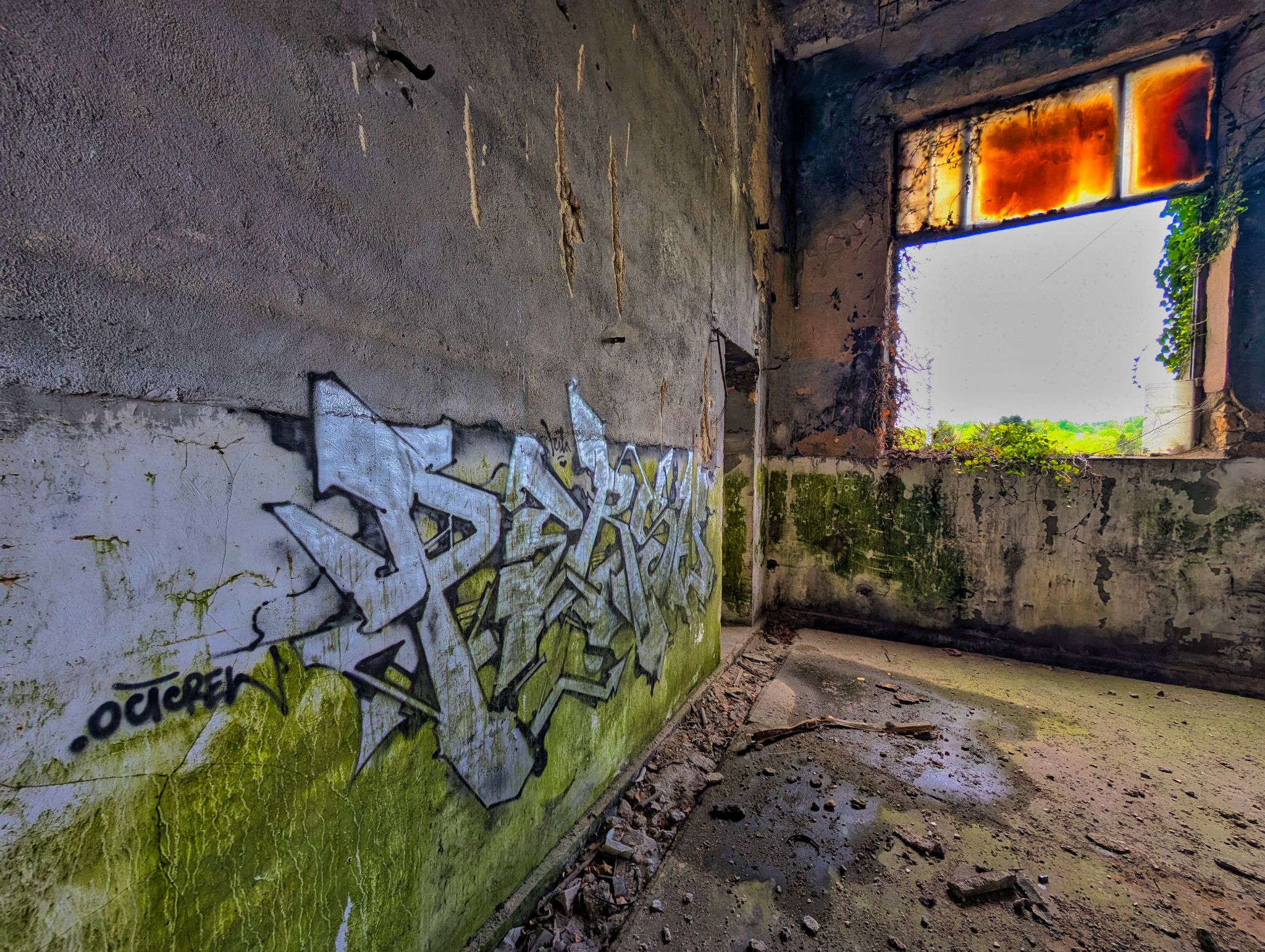 PXL 20250413 130654784