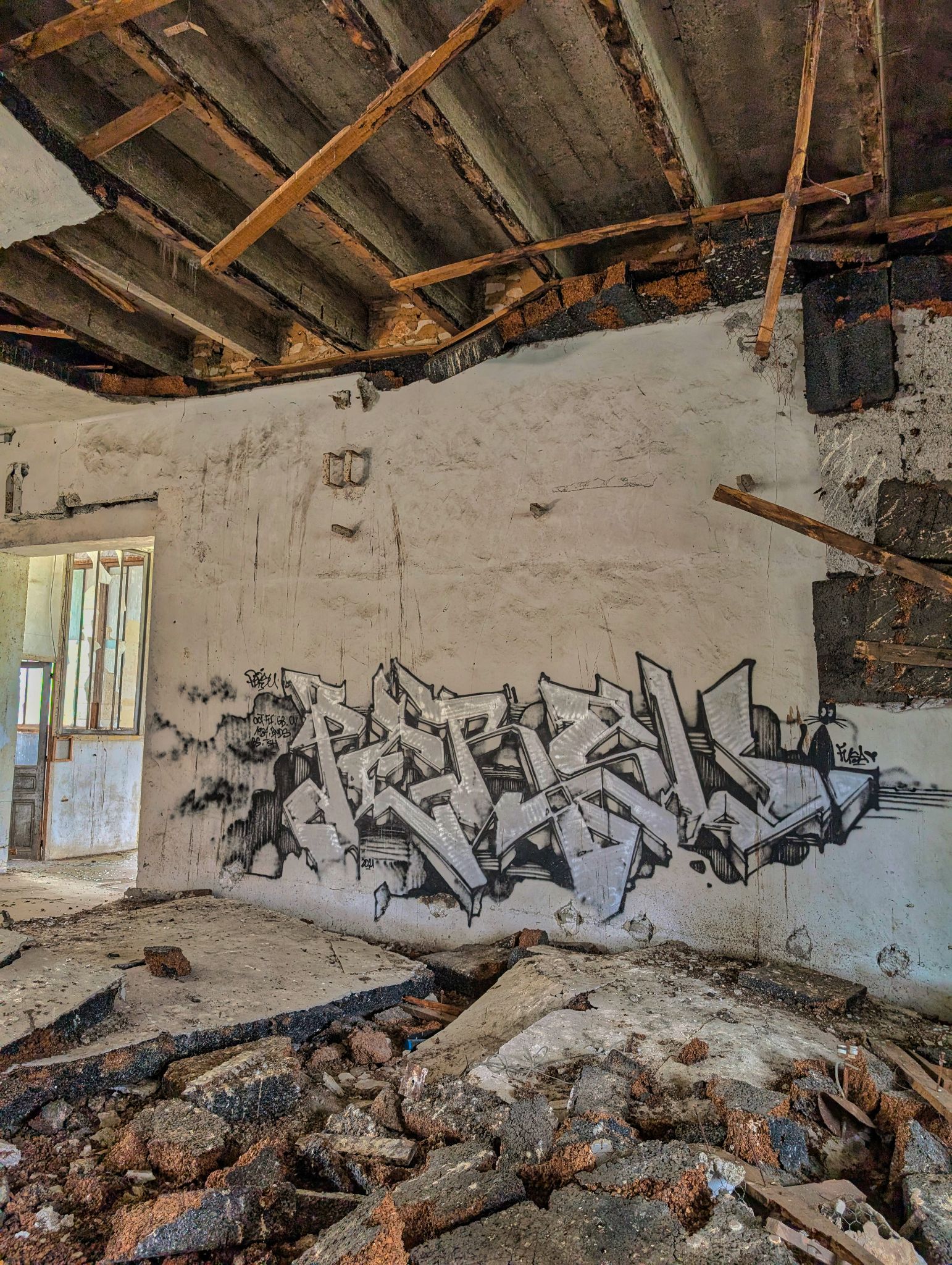 PXL 20250413 132536221