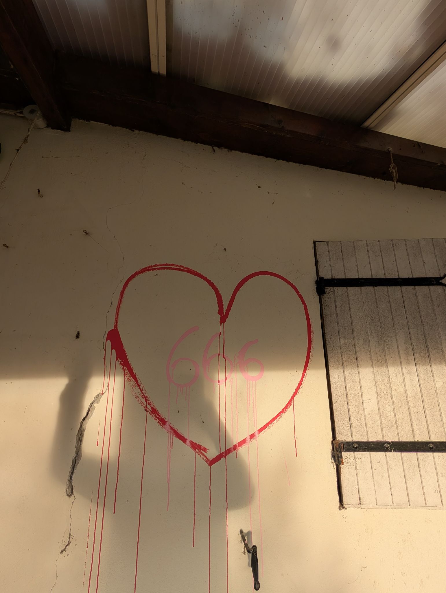 PXL 20251207 150937462