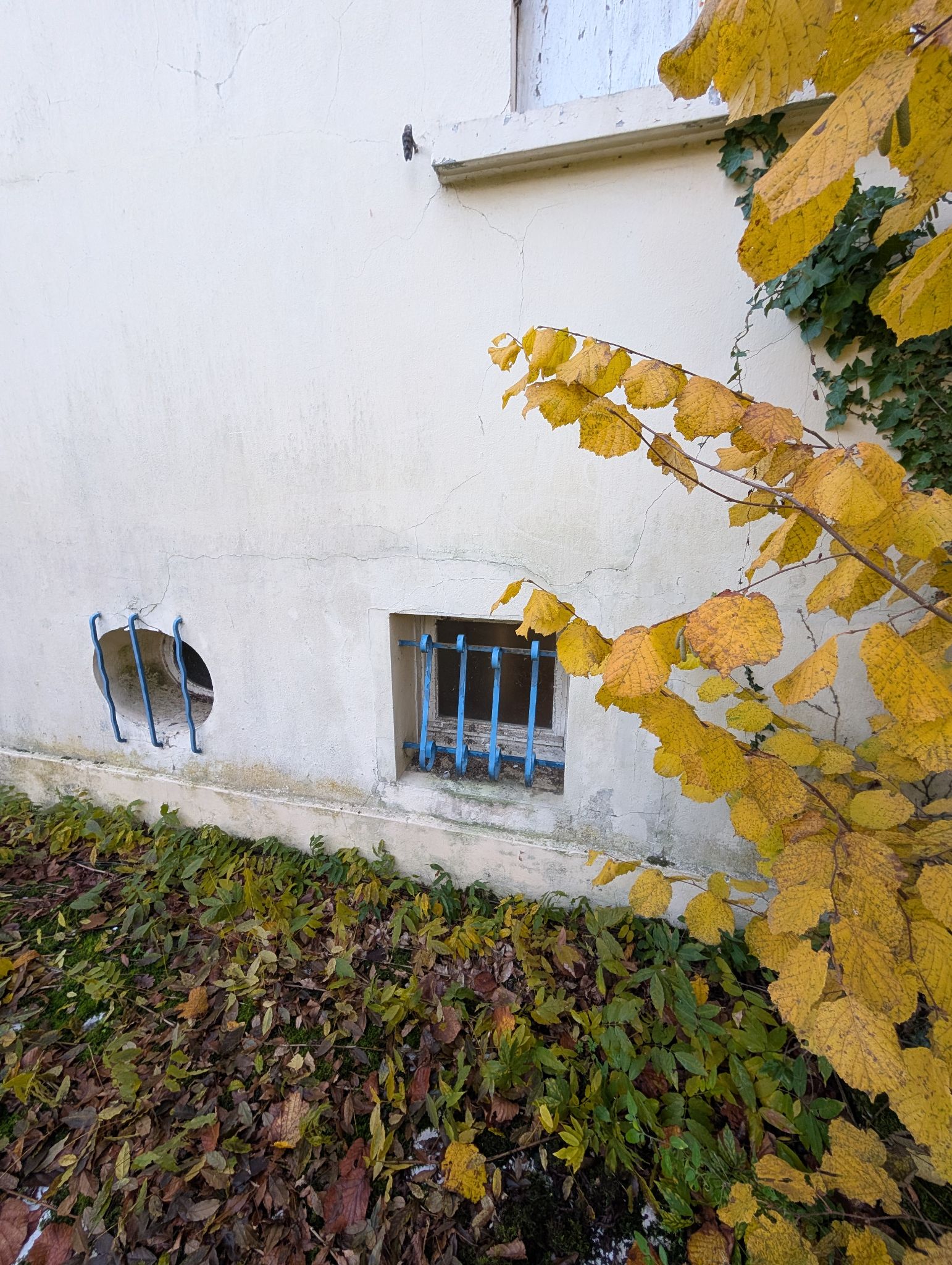 PXL 20251207 151053342.MP