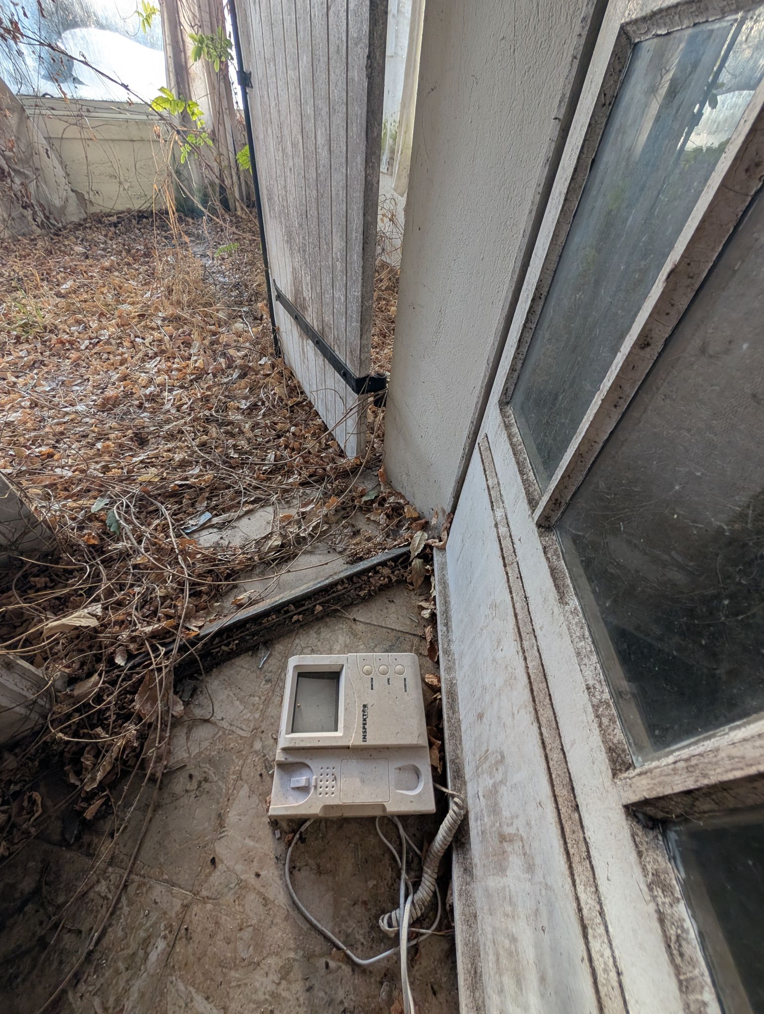 PXL 20251207 151145729