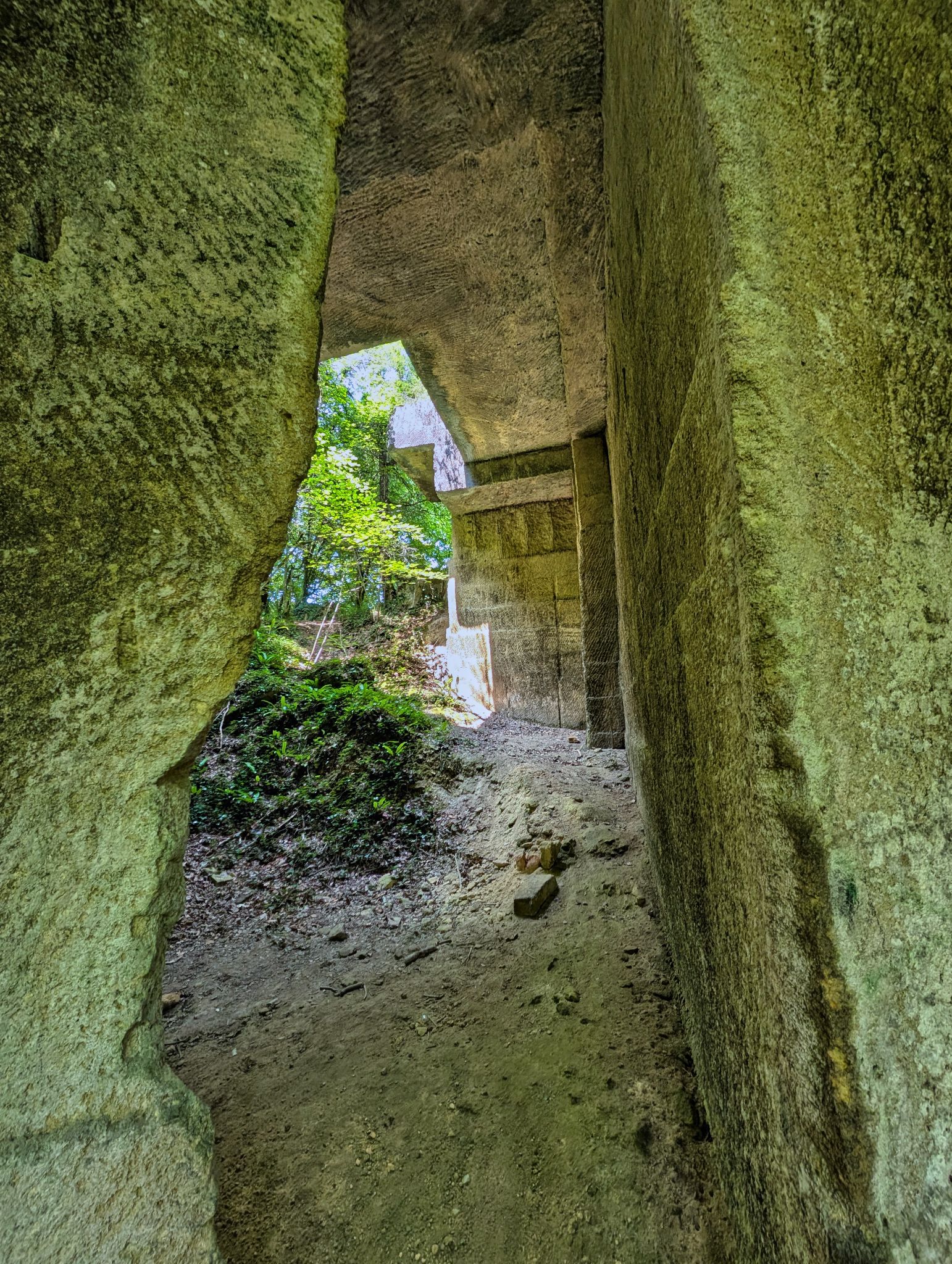 PXL 20250609 113426259