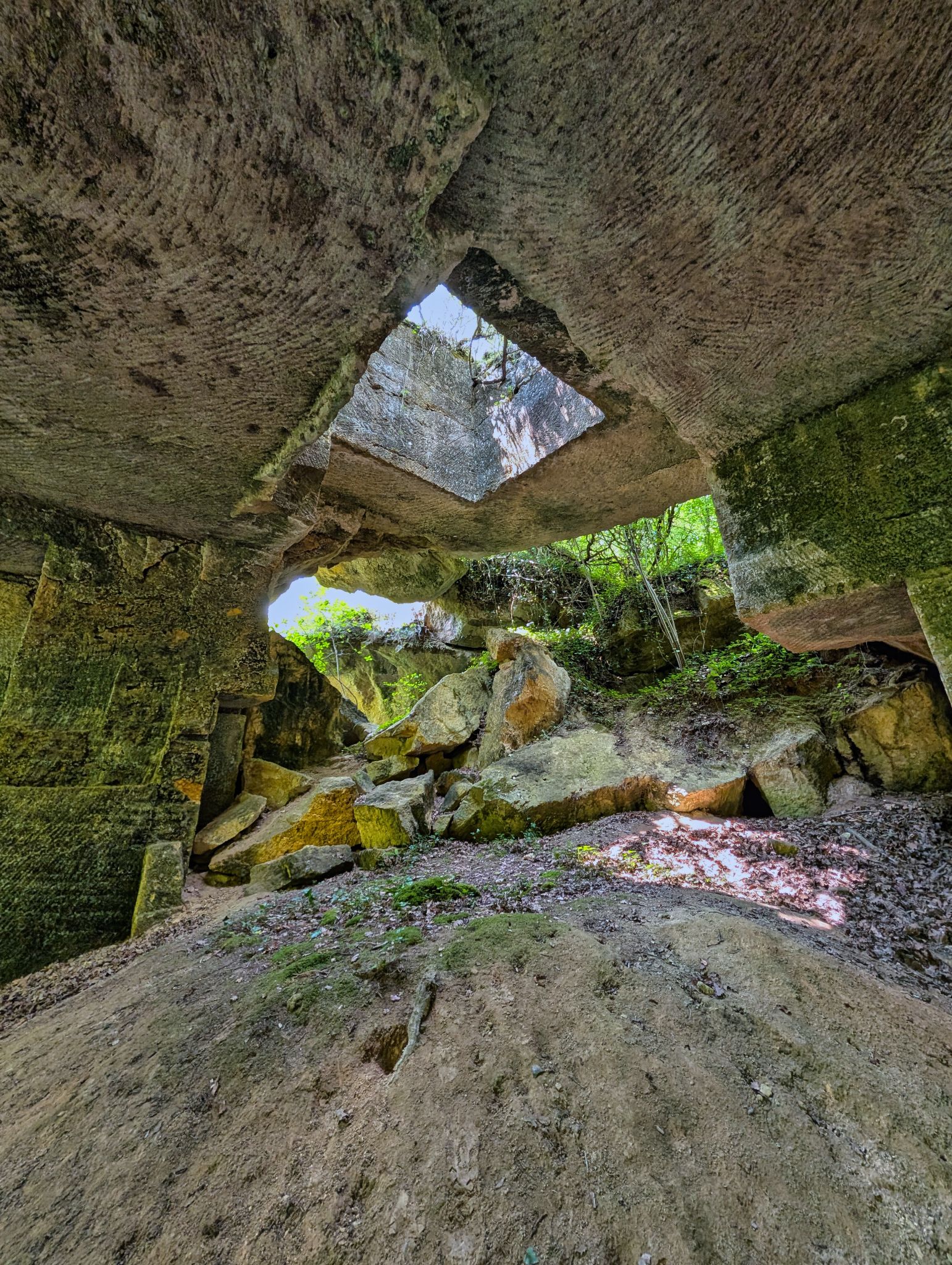 PXL 20250609 113512420