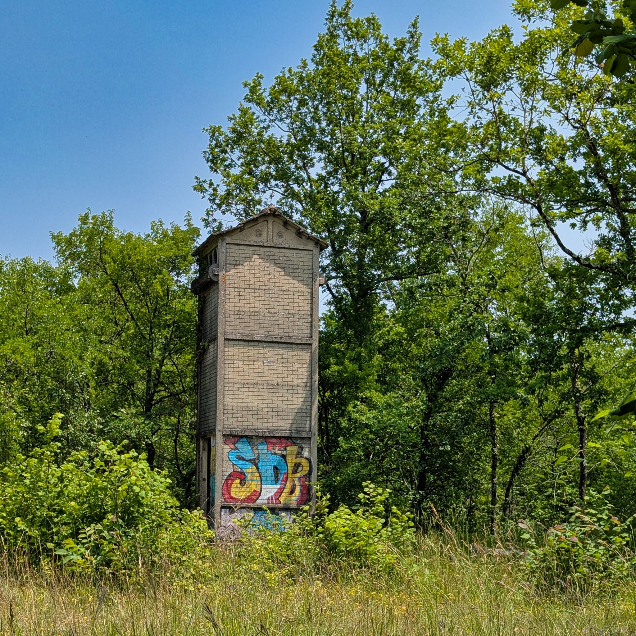 PXL 20250609 115002336.MP