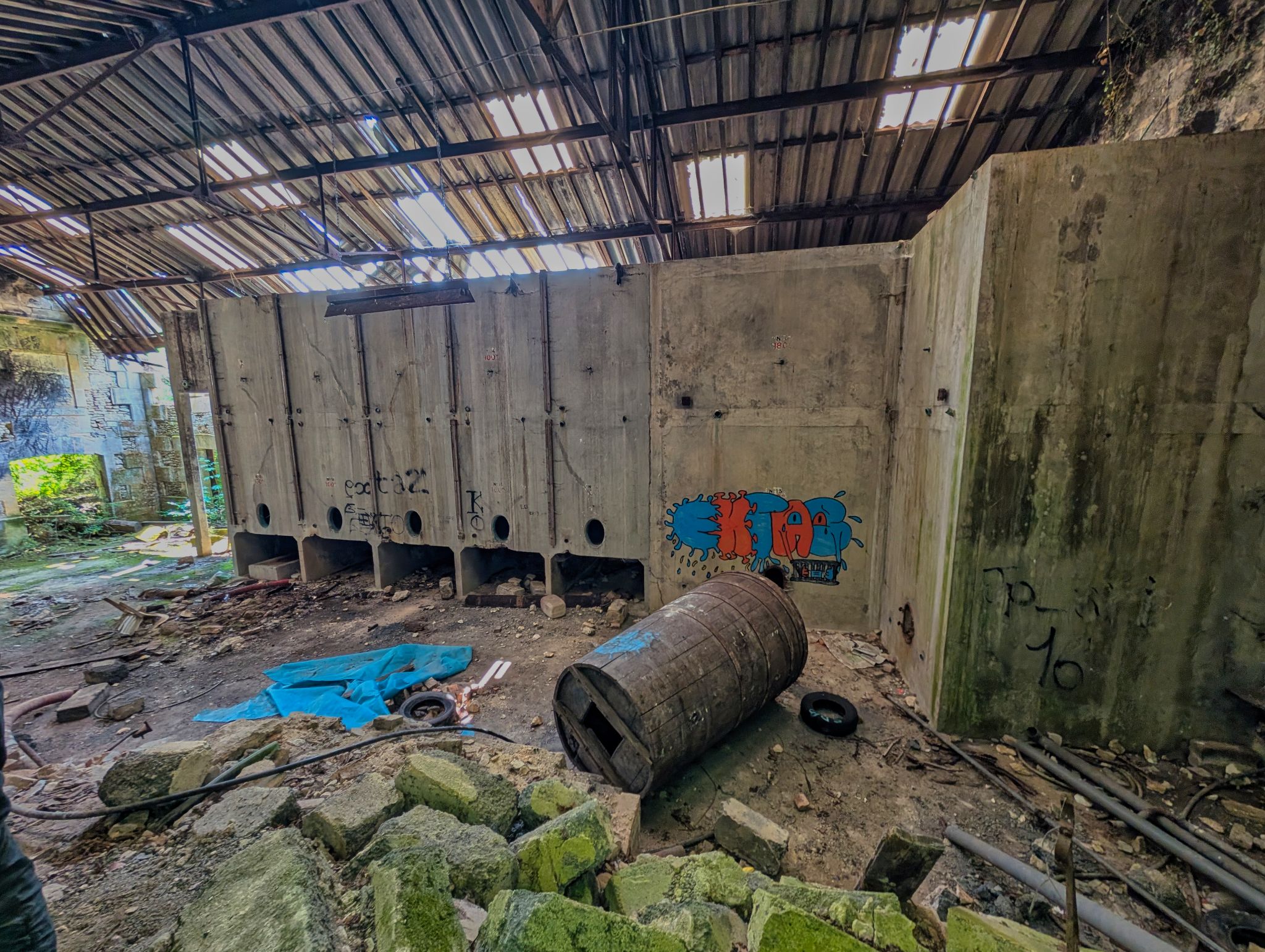 PXL 20250609 125602313