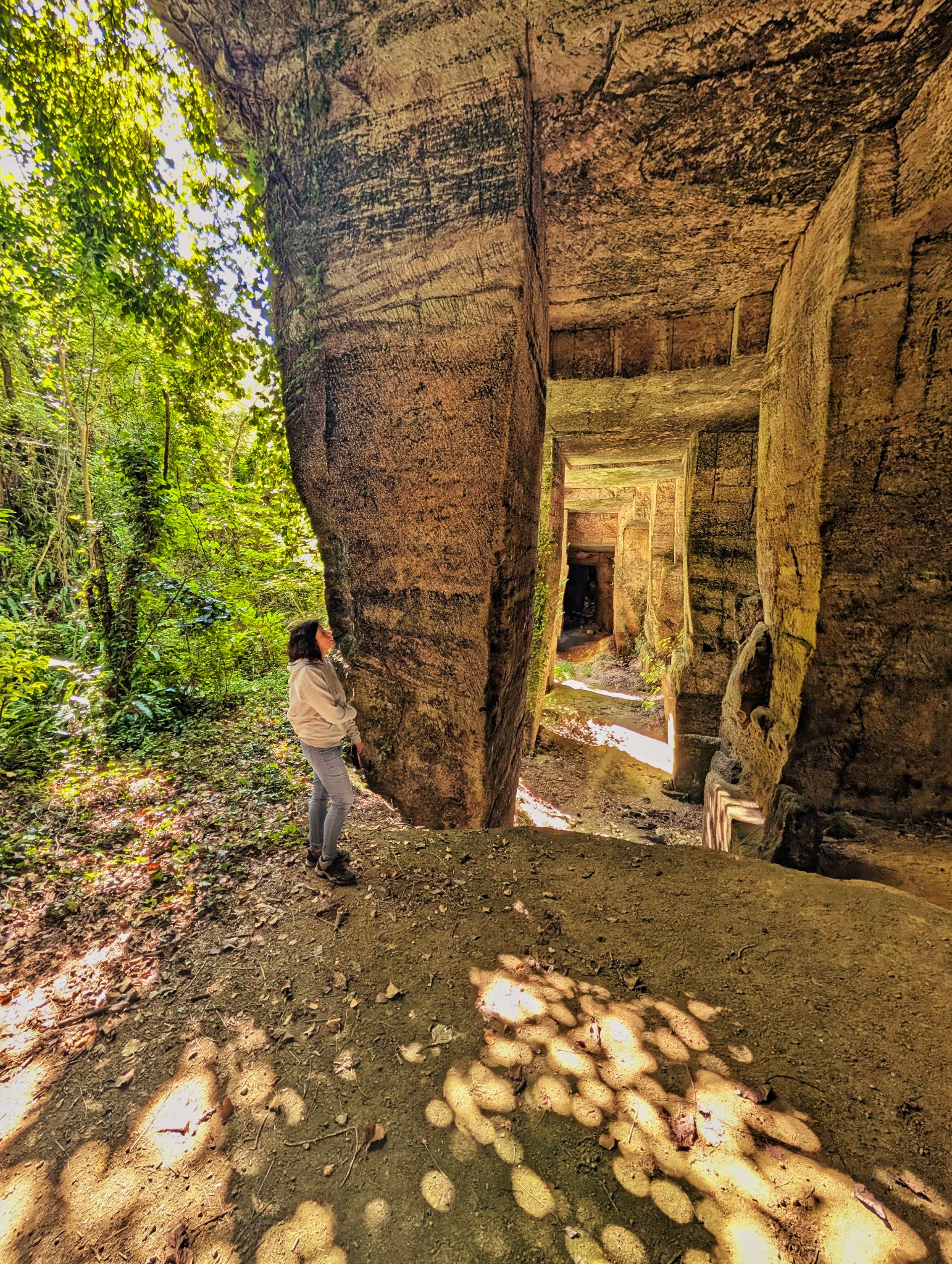 PXL 20250824 100024544