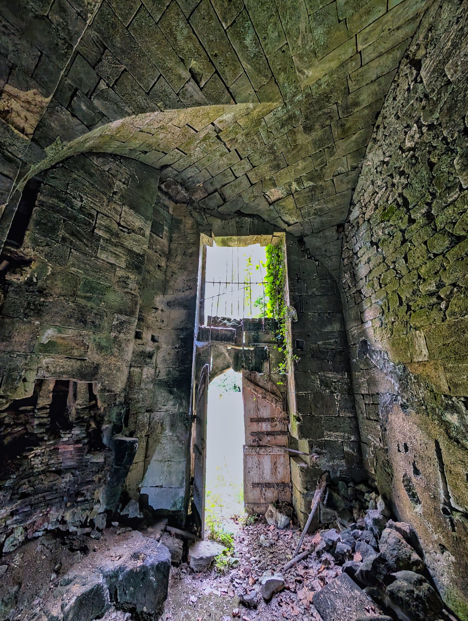 PXL 20250706 083151360