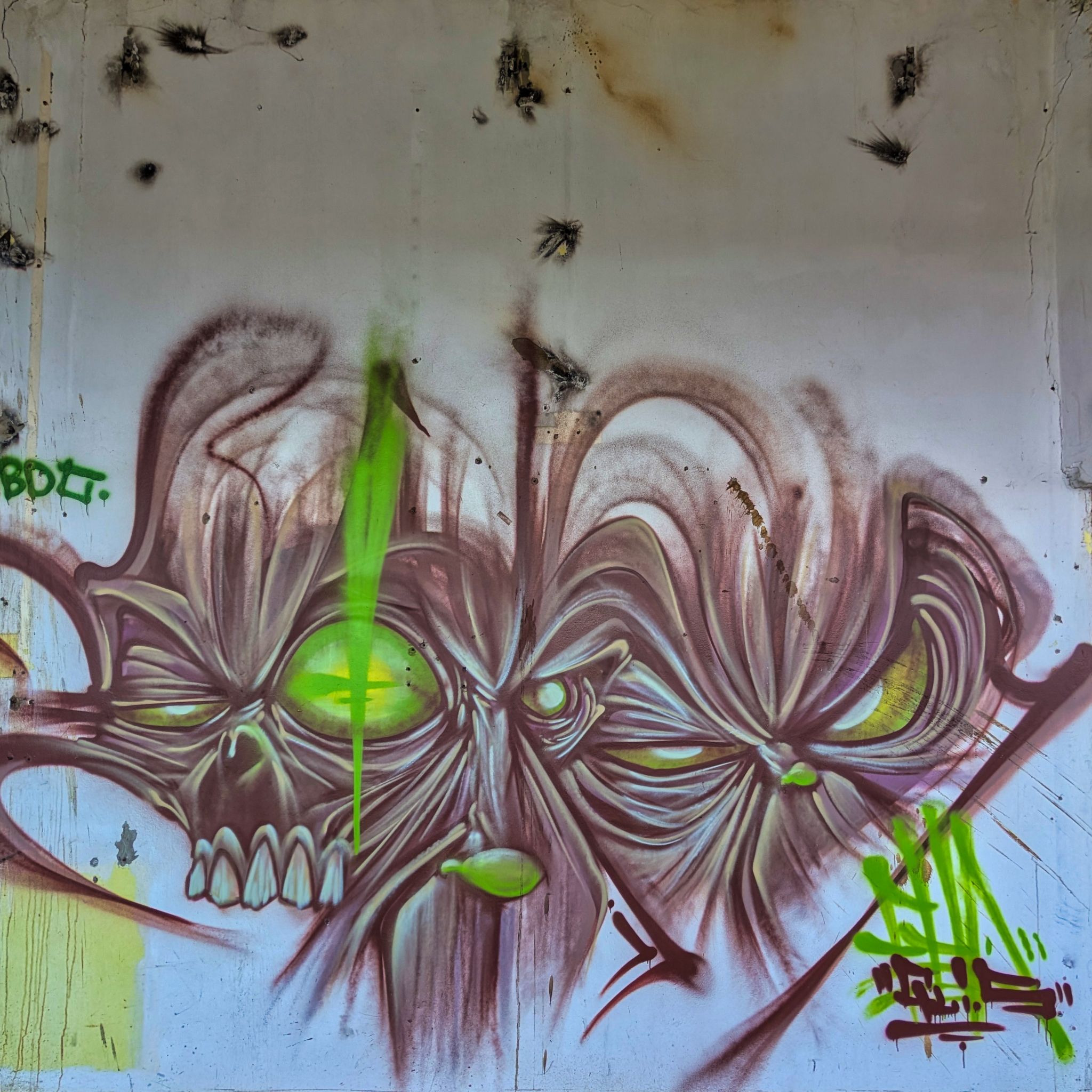 PXL 20250308 133321751