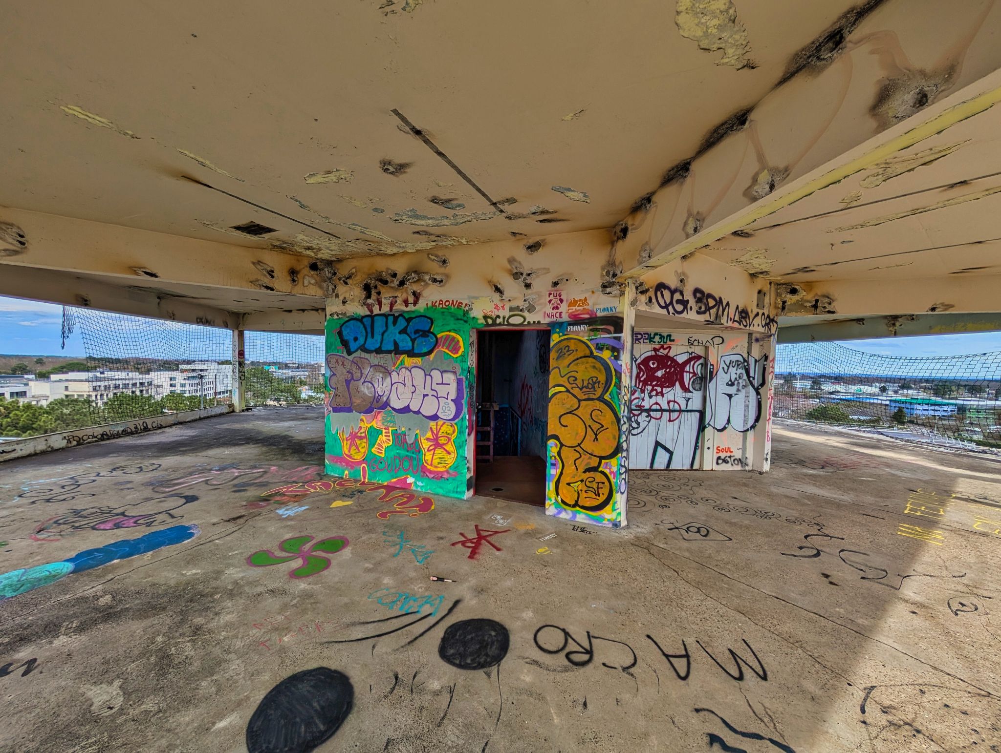 PXL 20250308 133507049