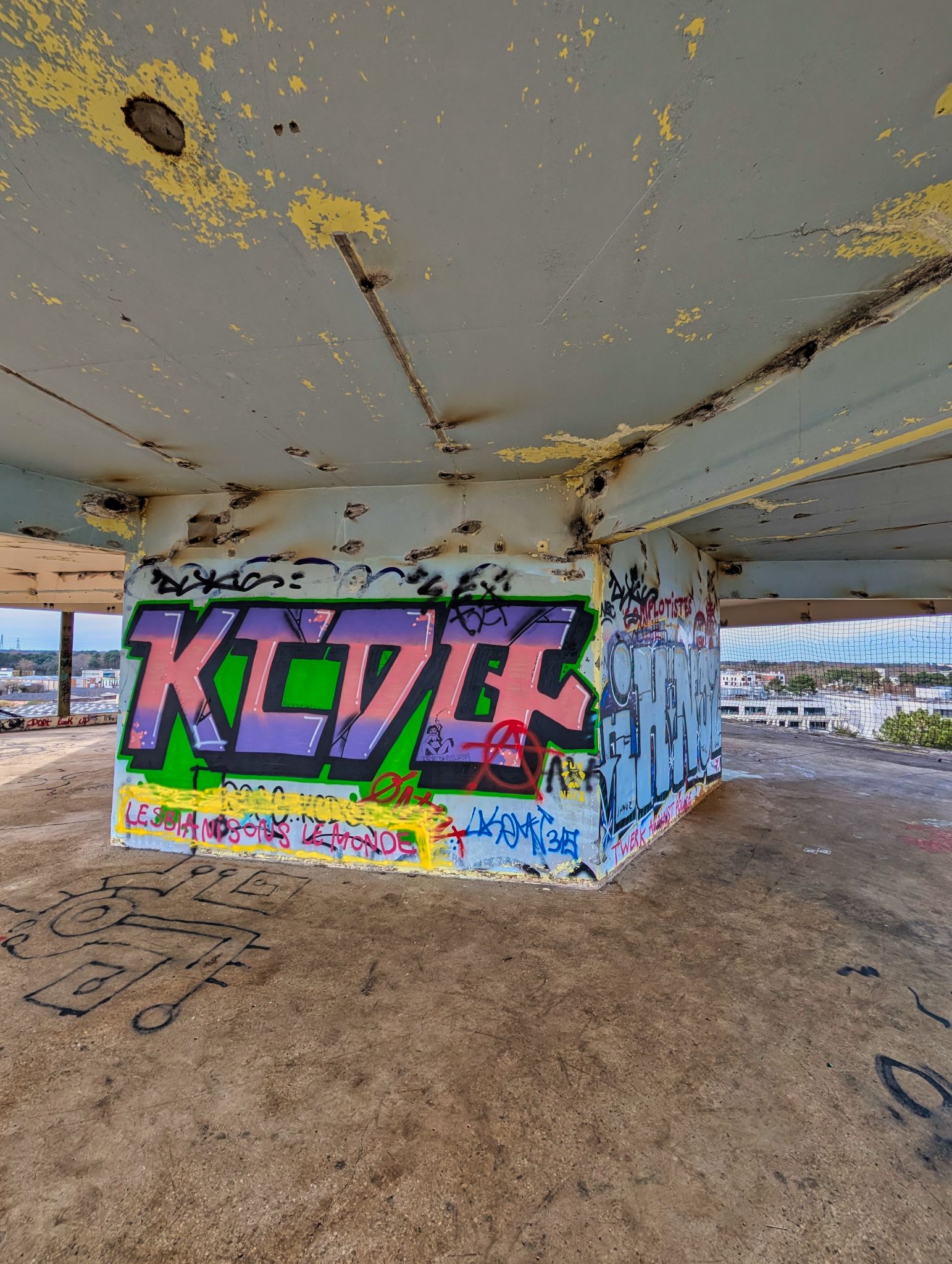 PXL 20250308 133550469