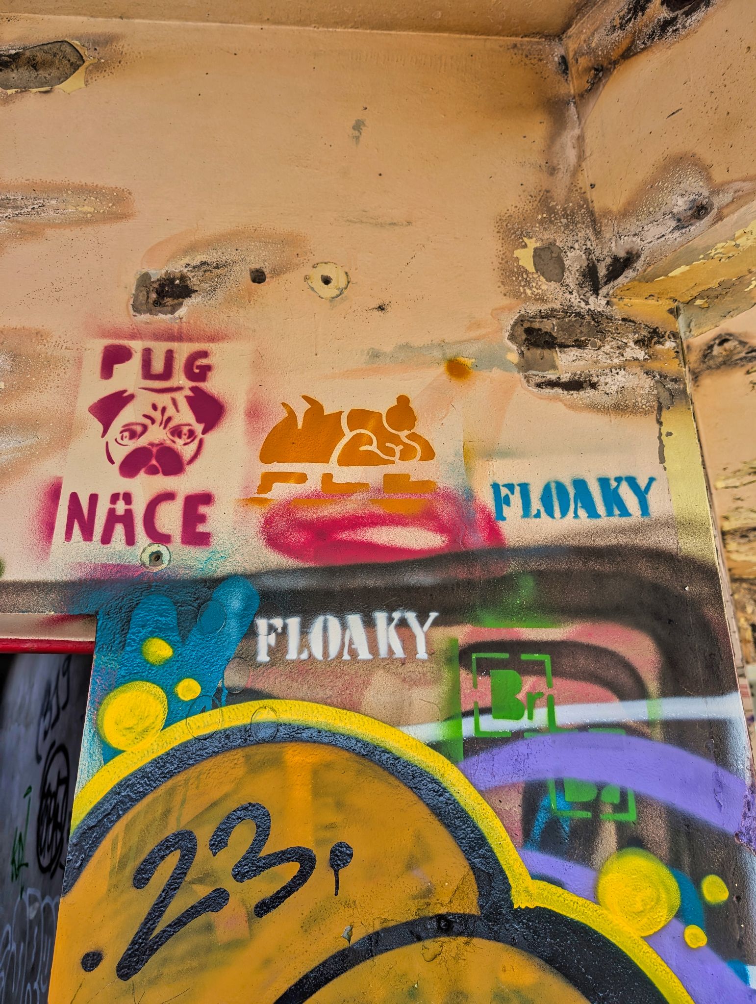 PXL 20250308 133648220