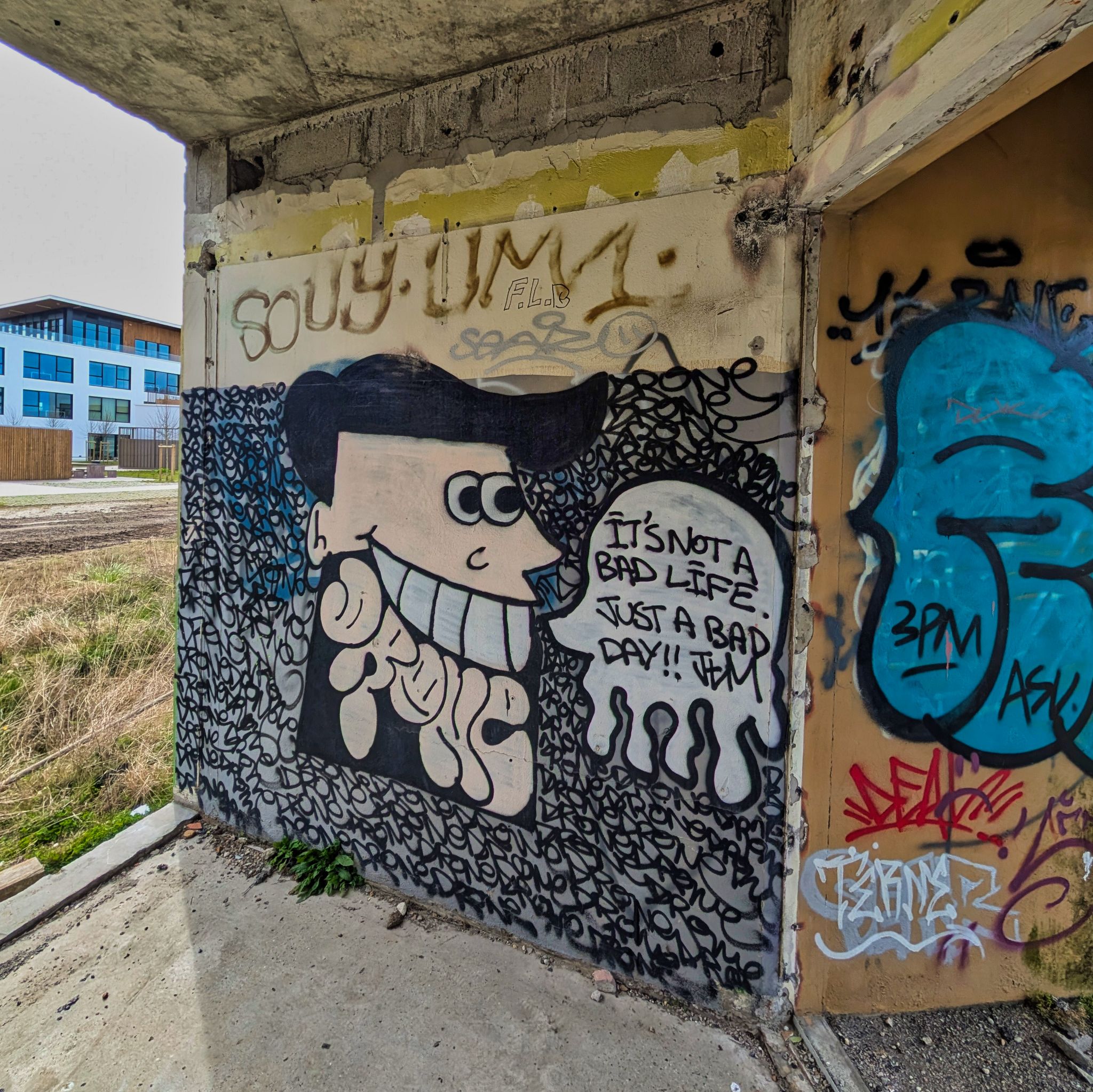 PXL 20250308 134208466