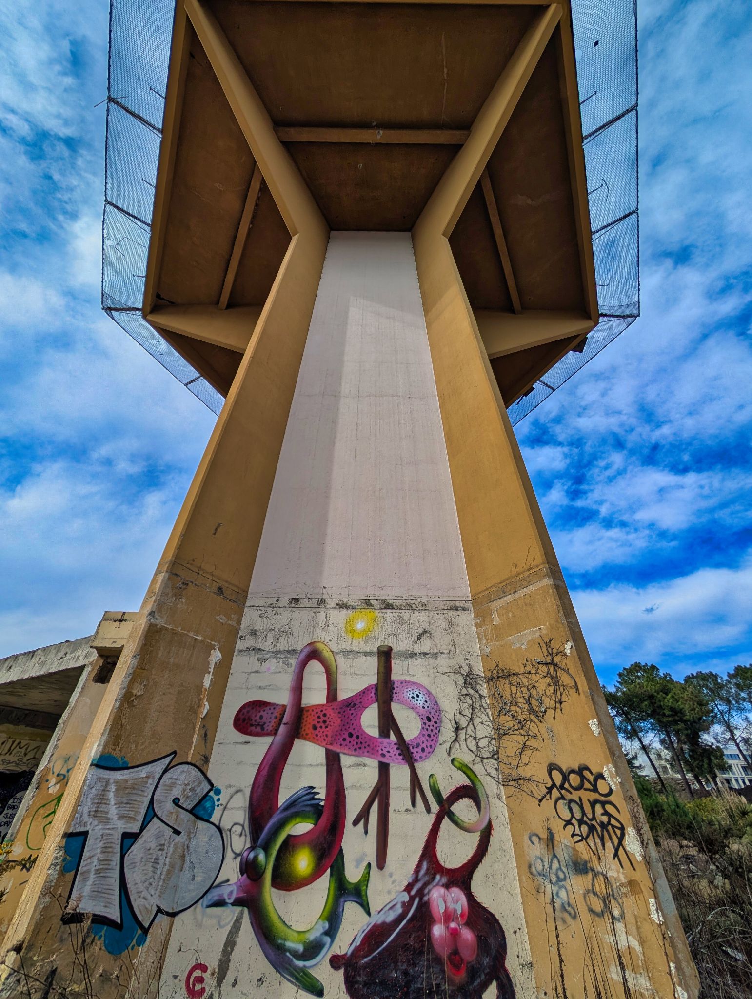 PXL 20250308 134233269