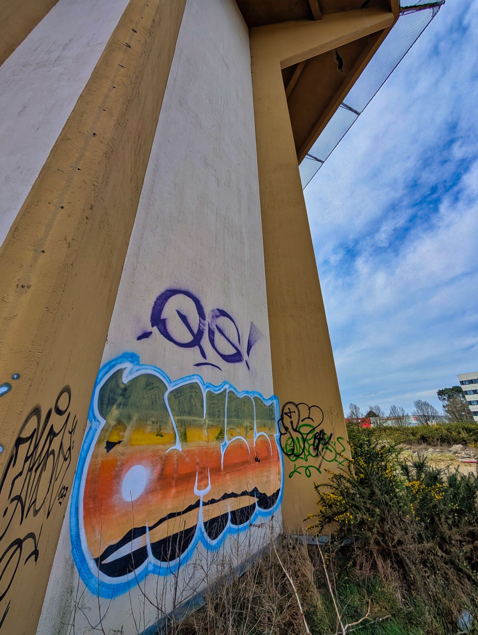 PXL 20250308 134304944