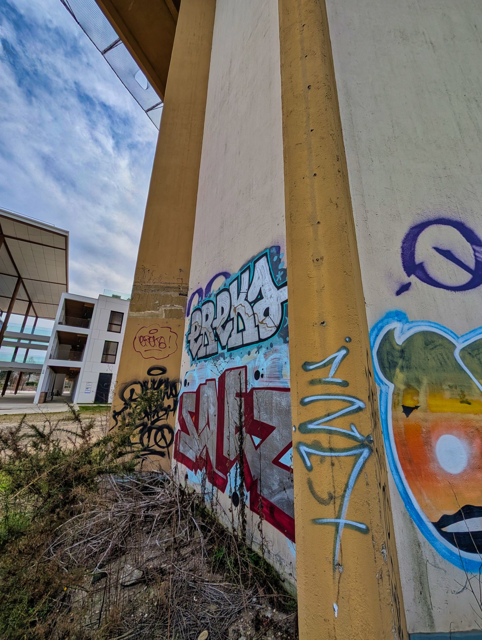 PXL 20250308 134309037