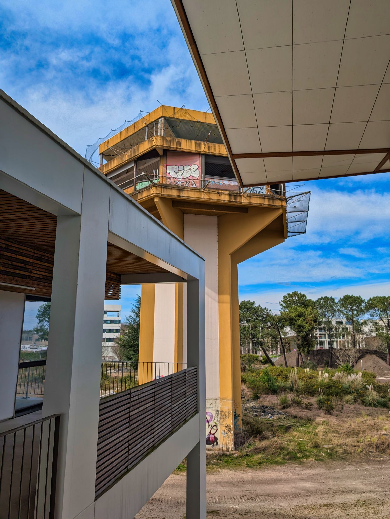 PXL 20250308 134607756