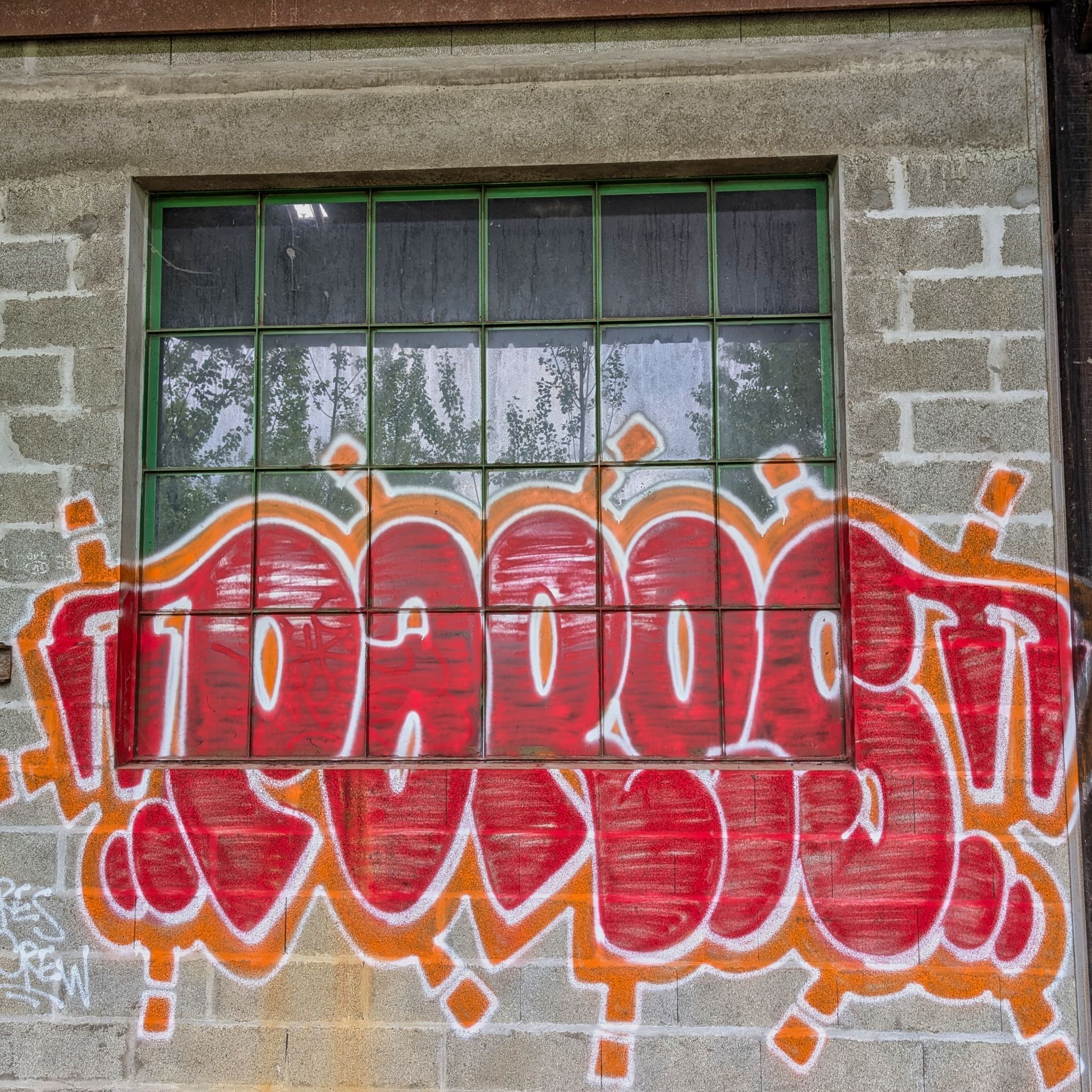 PXL 20250427 091137434